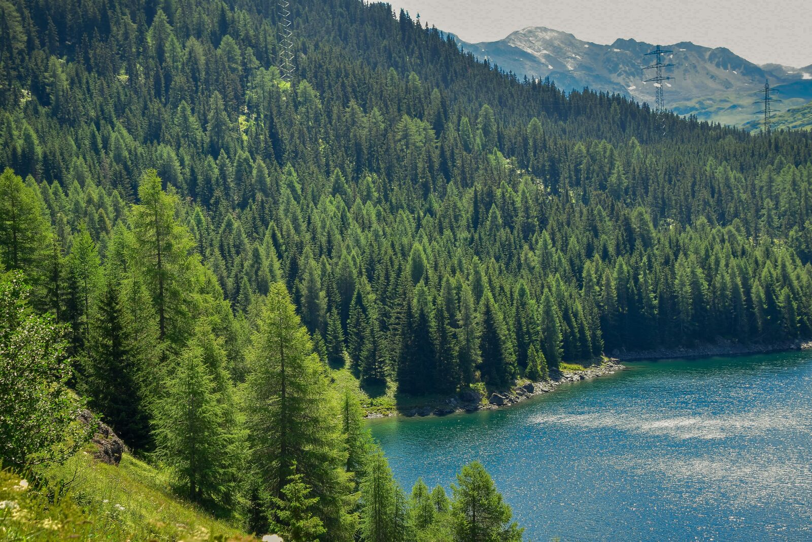 Nikon D5300 sample photo. Trees, lake, swiss photography
