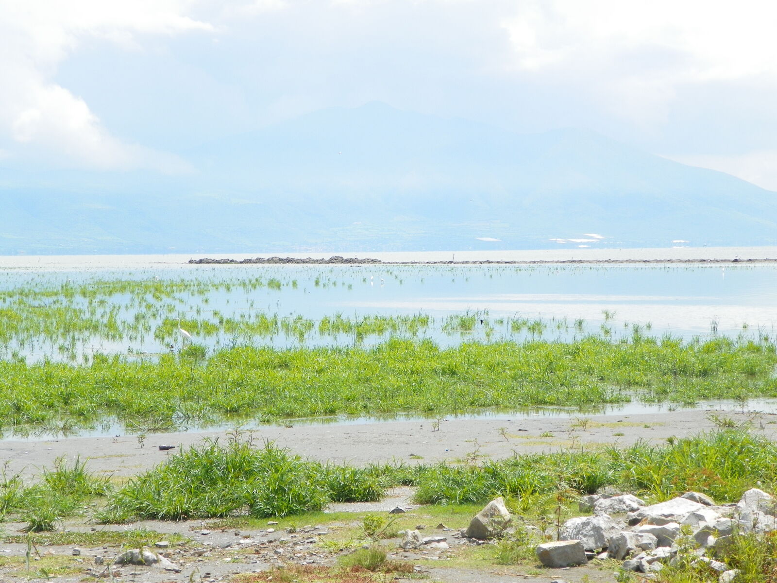 Kodak EasyShare Z981 sample photo. Lago, de, chapala, 2013 photography