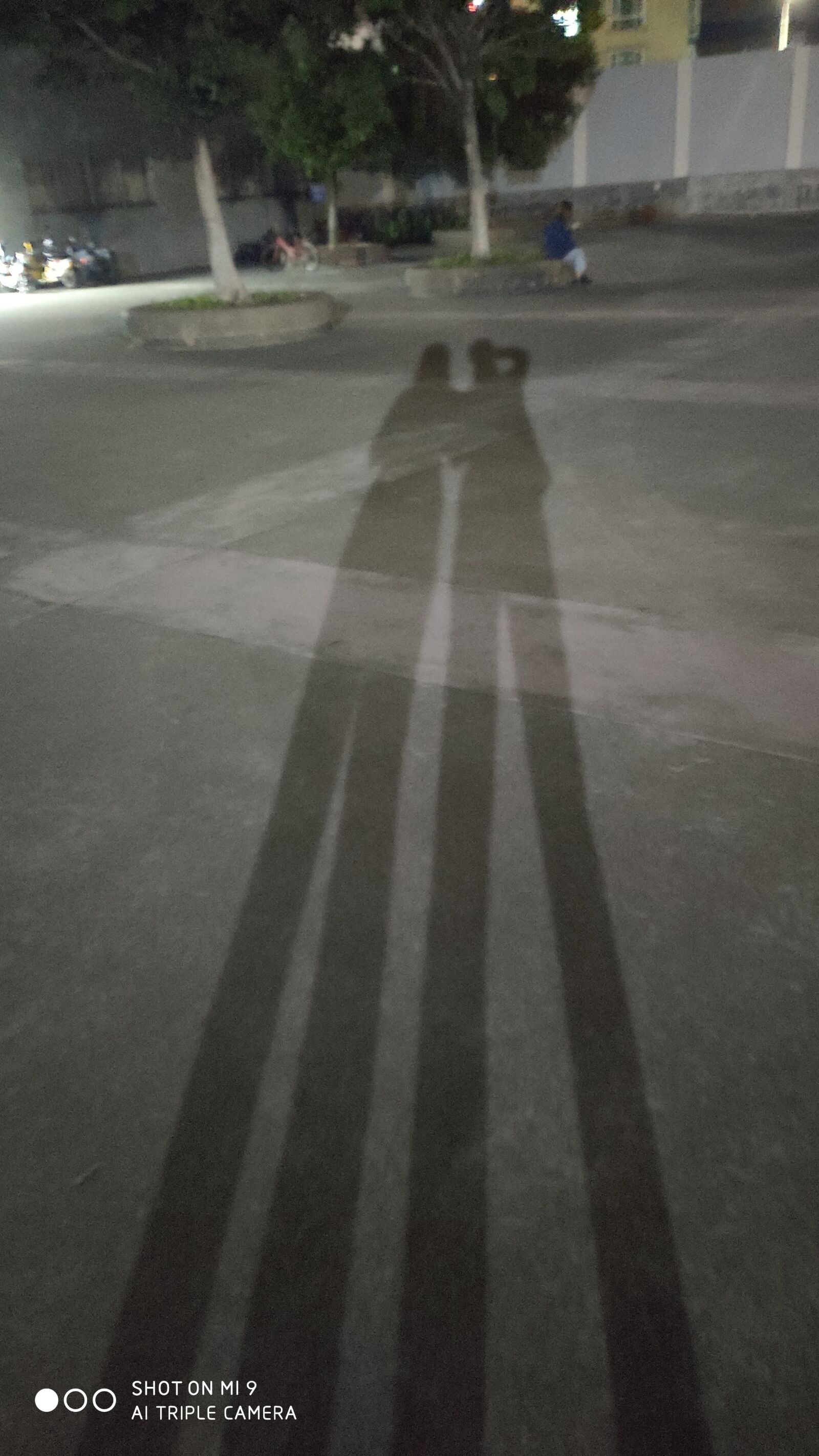 Xiaomi MI 9 sample photo. Shadow, friendship, night photography