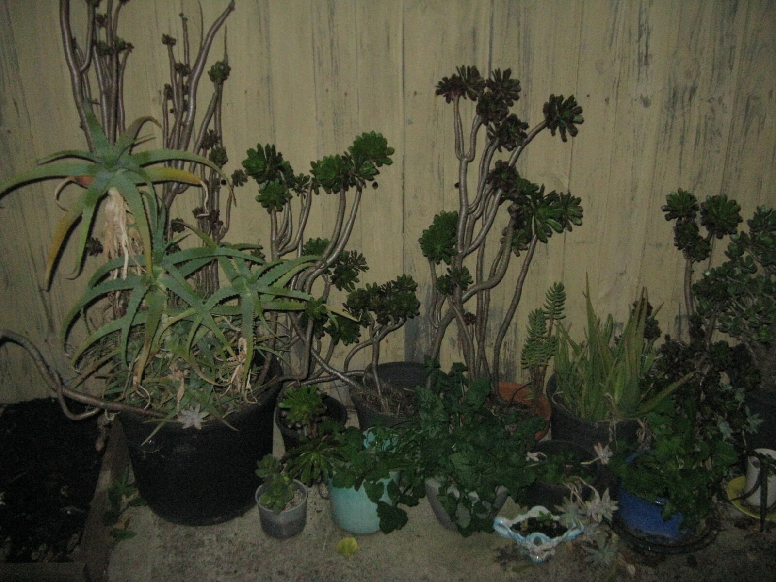 Canon POWERSHOT A720 IS sample photo