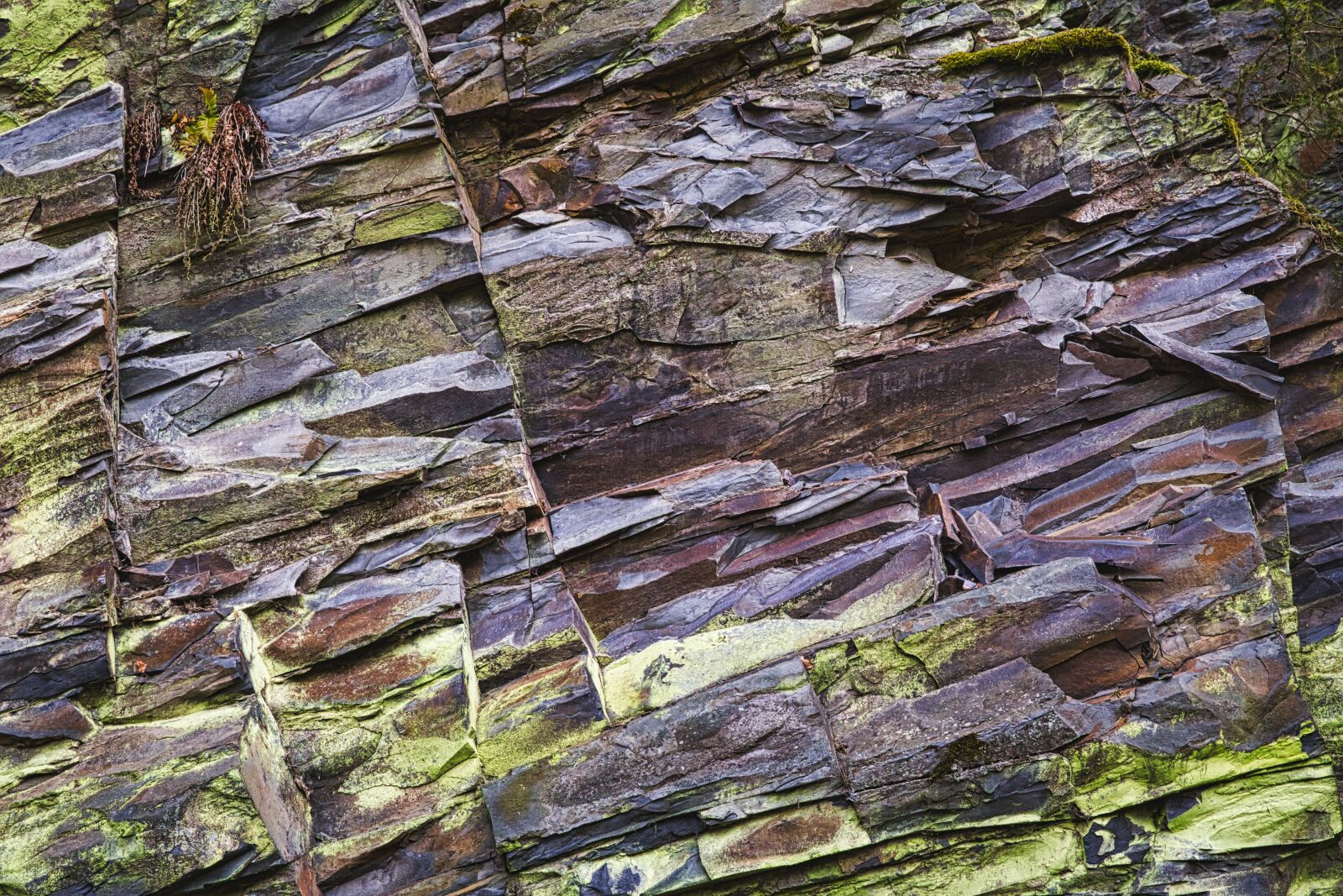 Canon EF 24-105mm F3.5-5.6 IS STM sample photo. Slate, rock, texture photography