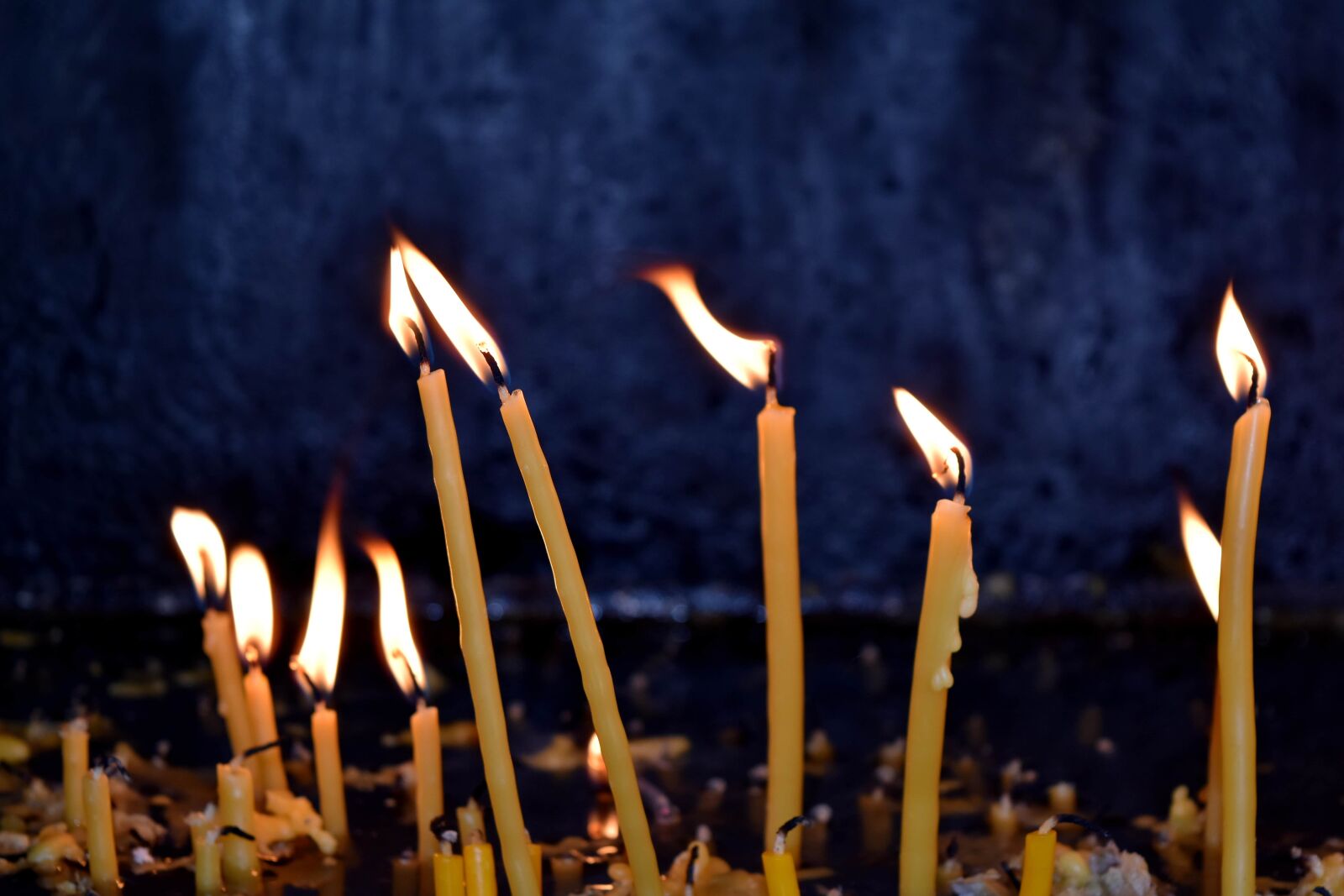 Nikon D5500 sample photo. Candlelight, flame, celebration, light photography