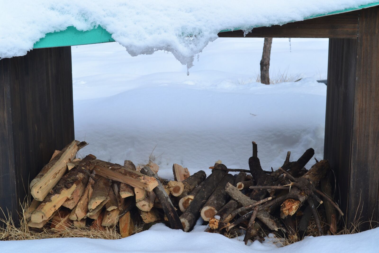 Nikon D3100 sample photo. Firewood, winter, wood photography
