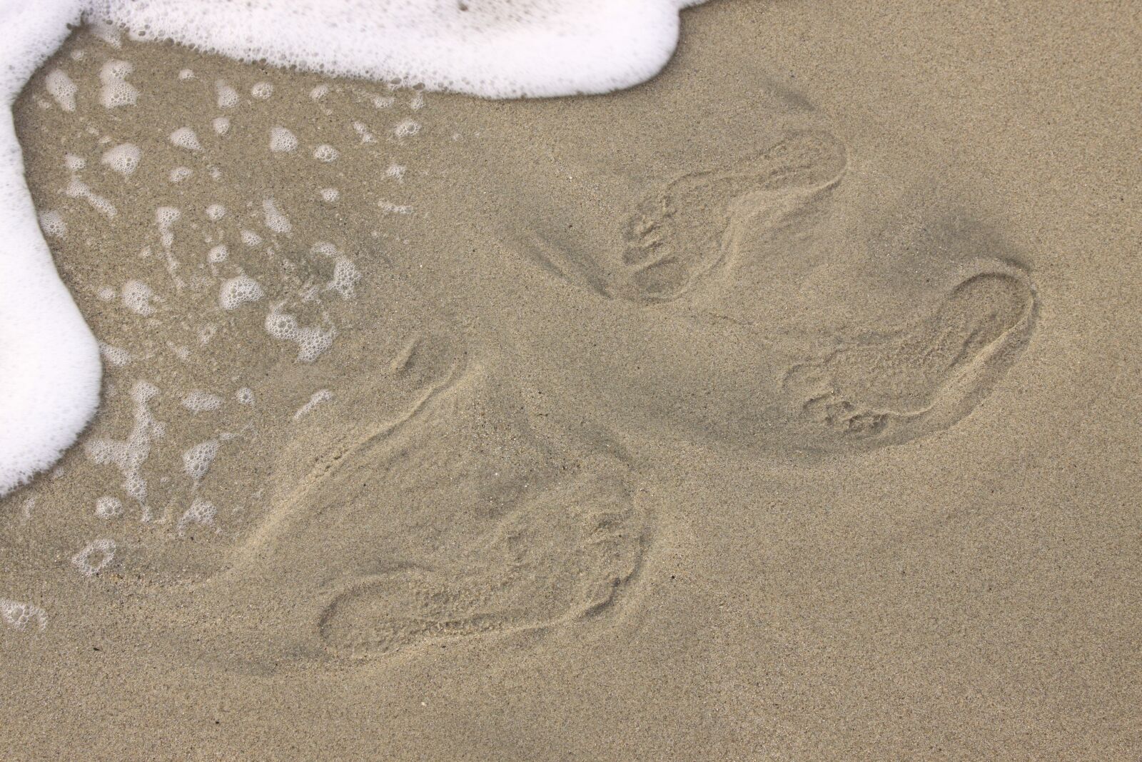 Canon EOS 50D sample photo. Sea, beach, wave photography