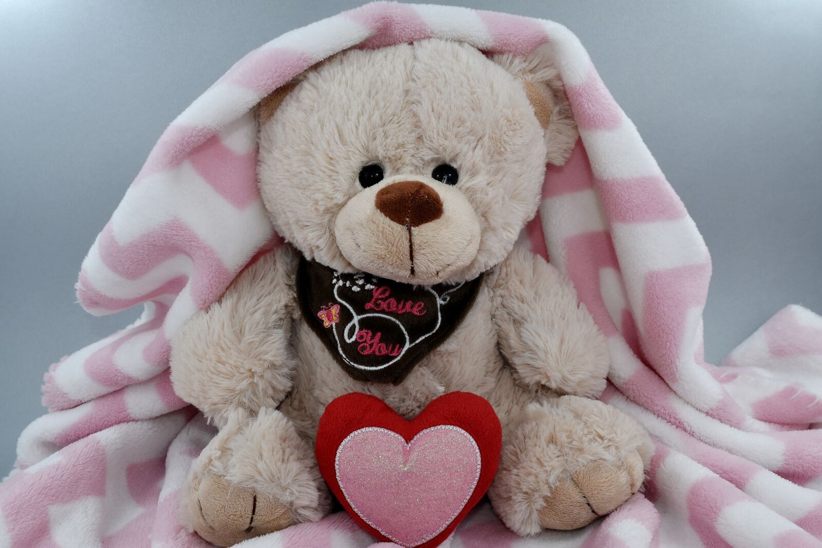 Nikon D5500 sample photo. Blanket, doll, heart, love photography