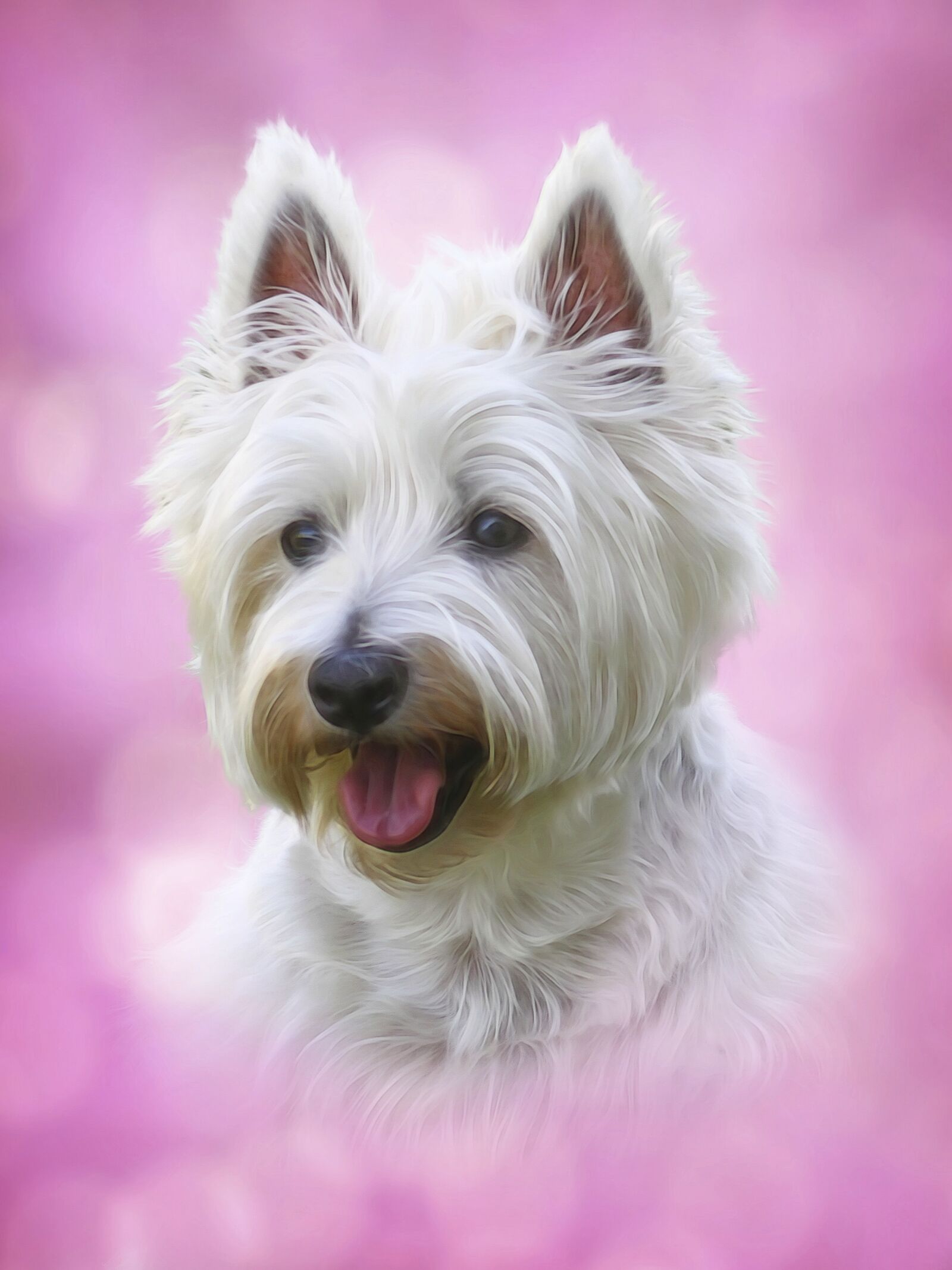 Canon EF 75-300mm f/4-5.6 sample photo. Dog, pet, animal photography
