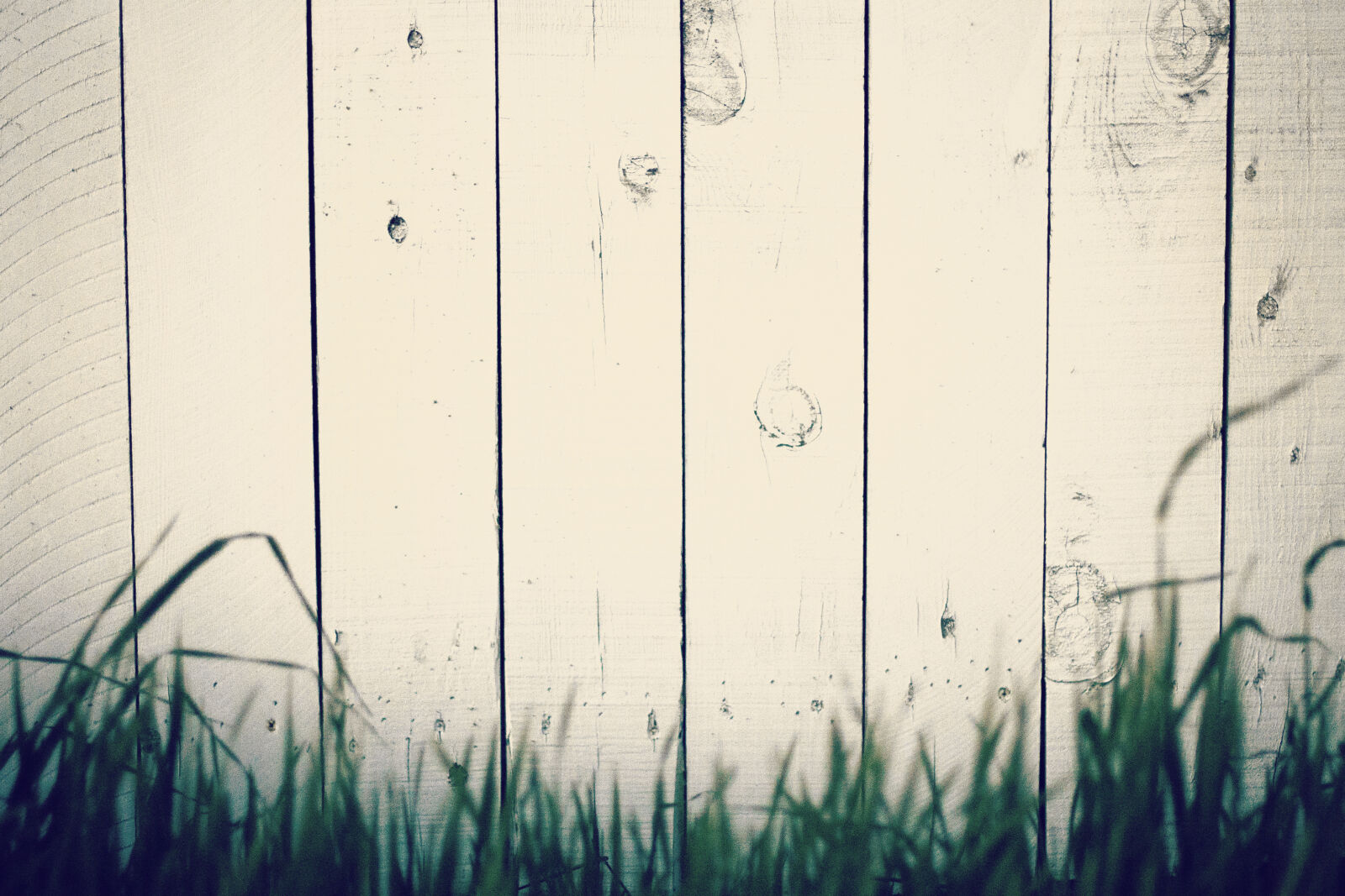 Nikon D600 + Nikon AF-S Nikkor 50mm F1.4G sample photo. Background, fence, grass, wood photography