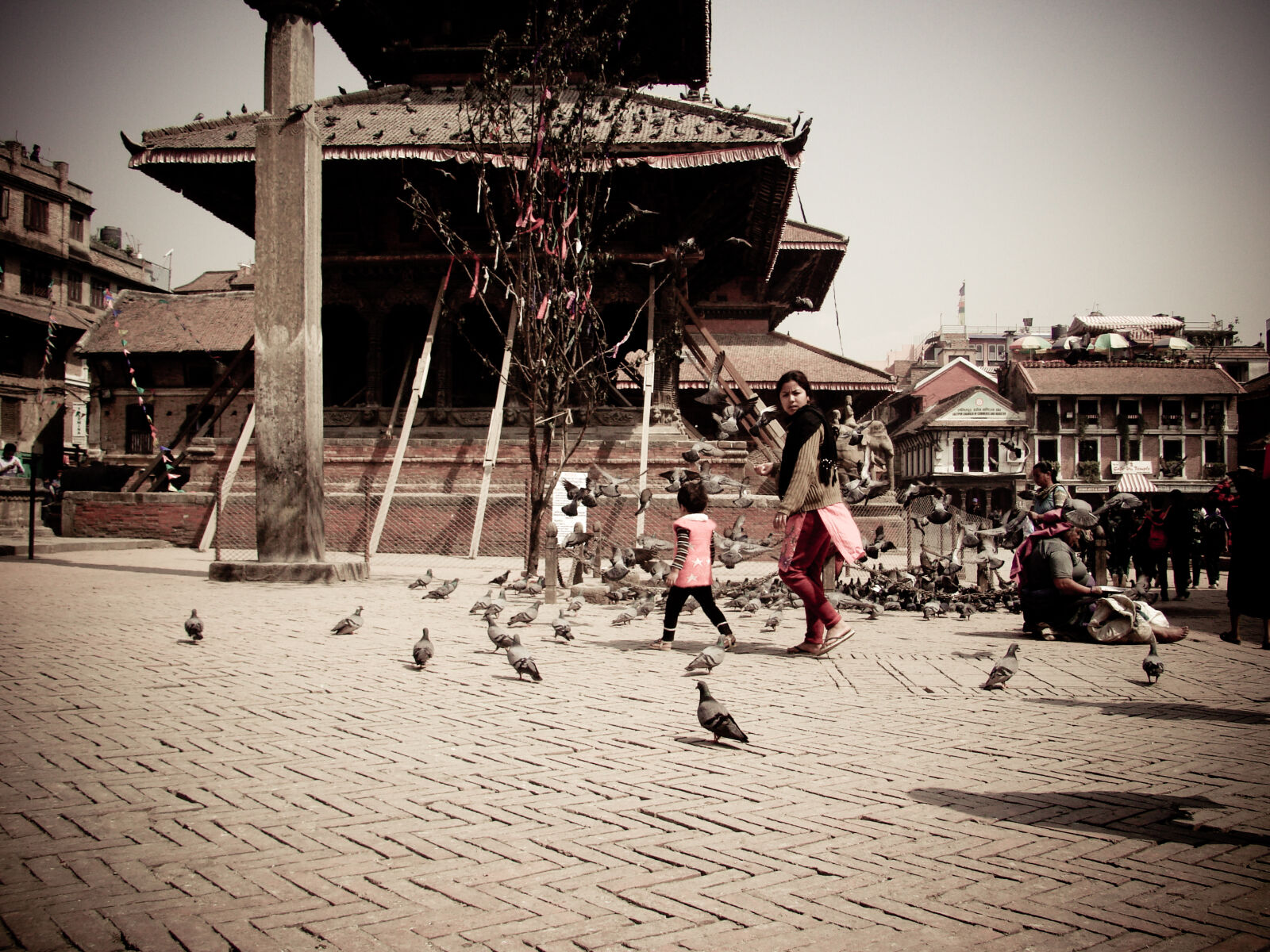 Sony Cyber-shot DSC-H50 sample photo. Bird, nature, nepal, temple photography