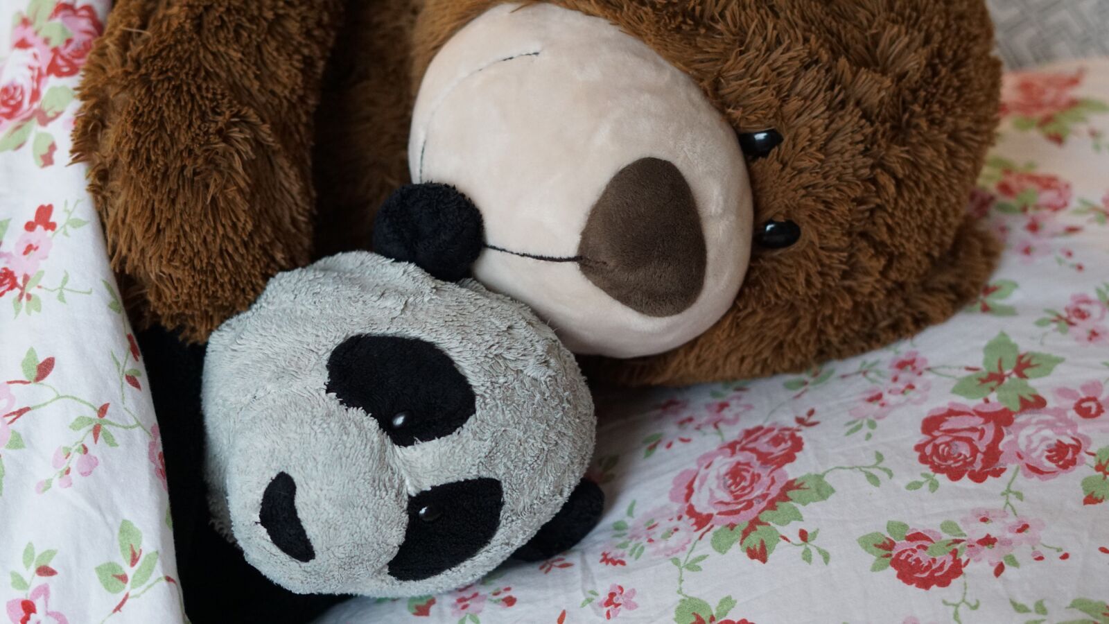 Sony FE 50mm F1.8 sample photo. Snuggle, bed, sleep photography