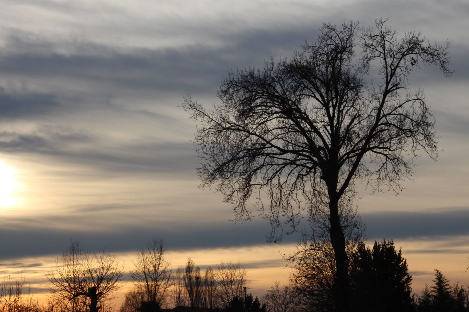 EF35-135mm f/4-5.6 USM sample photo. Sunset, spring, sky photography