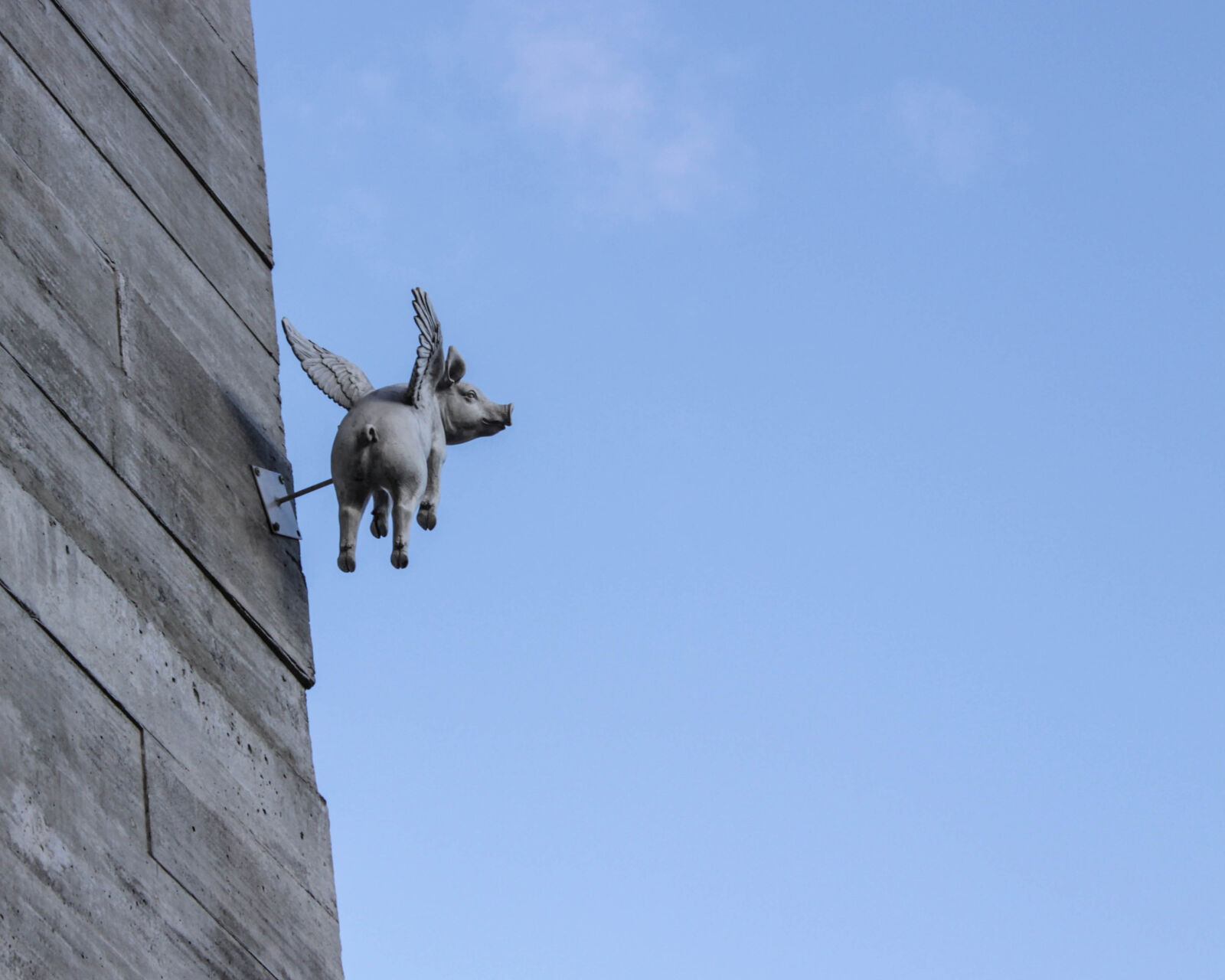 Canon EOS 1300D (EOS Rebel T6 / EOS Kiss X80) sample photo. Decor, fly, flying, pig photography