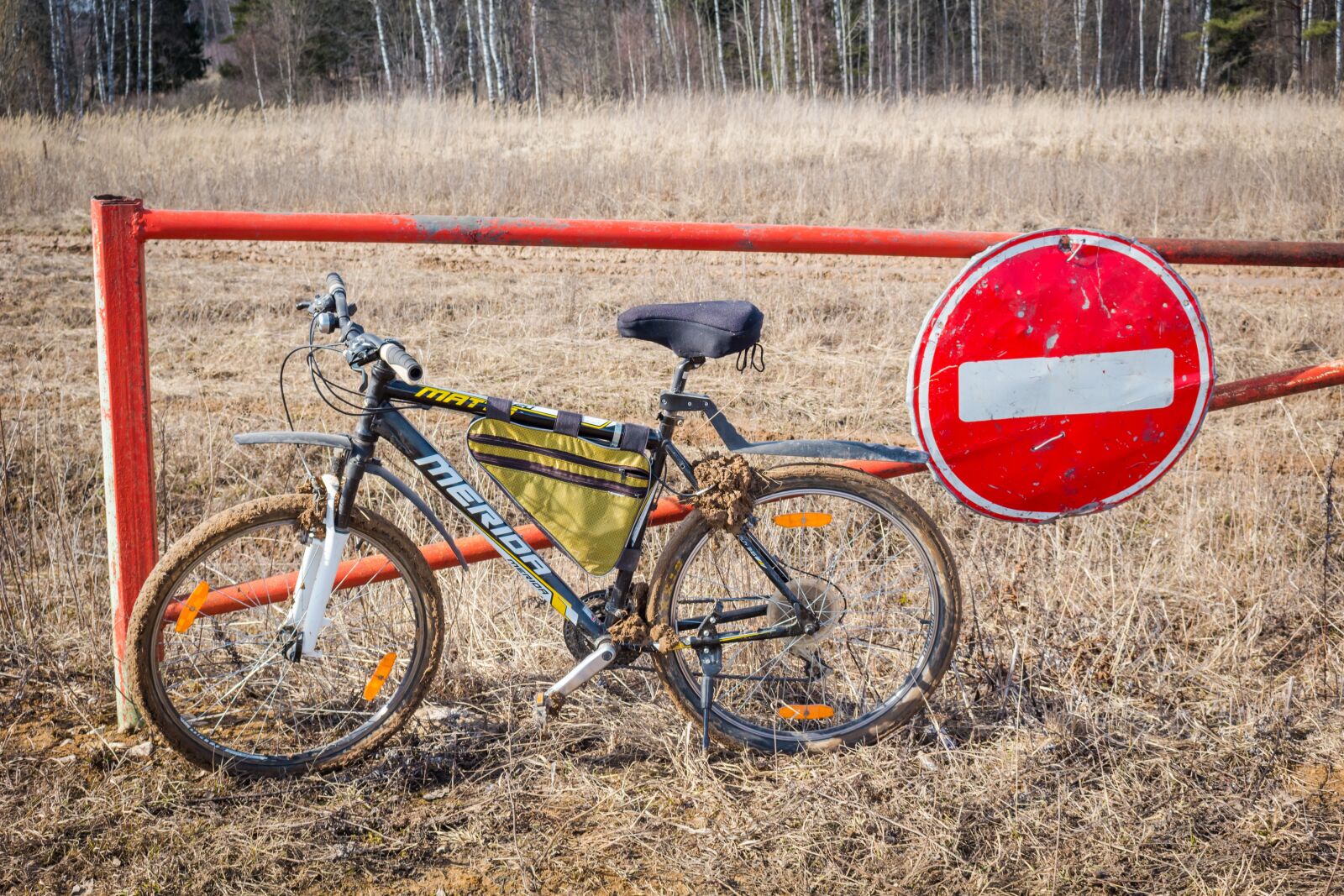 Canon EOS 100D (EOS Rebel SL1 / EOS Kiss X7) sample photo. Bike, led, ride photography