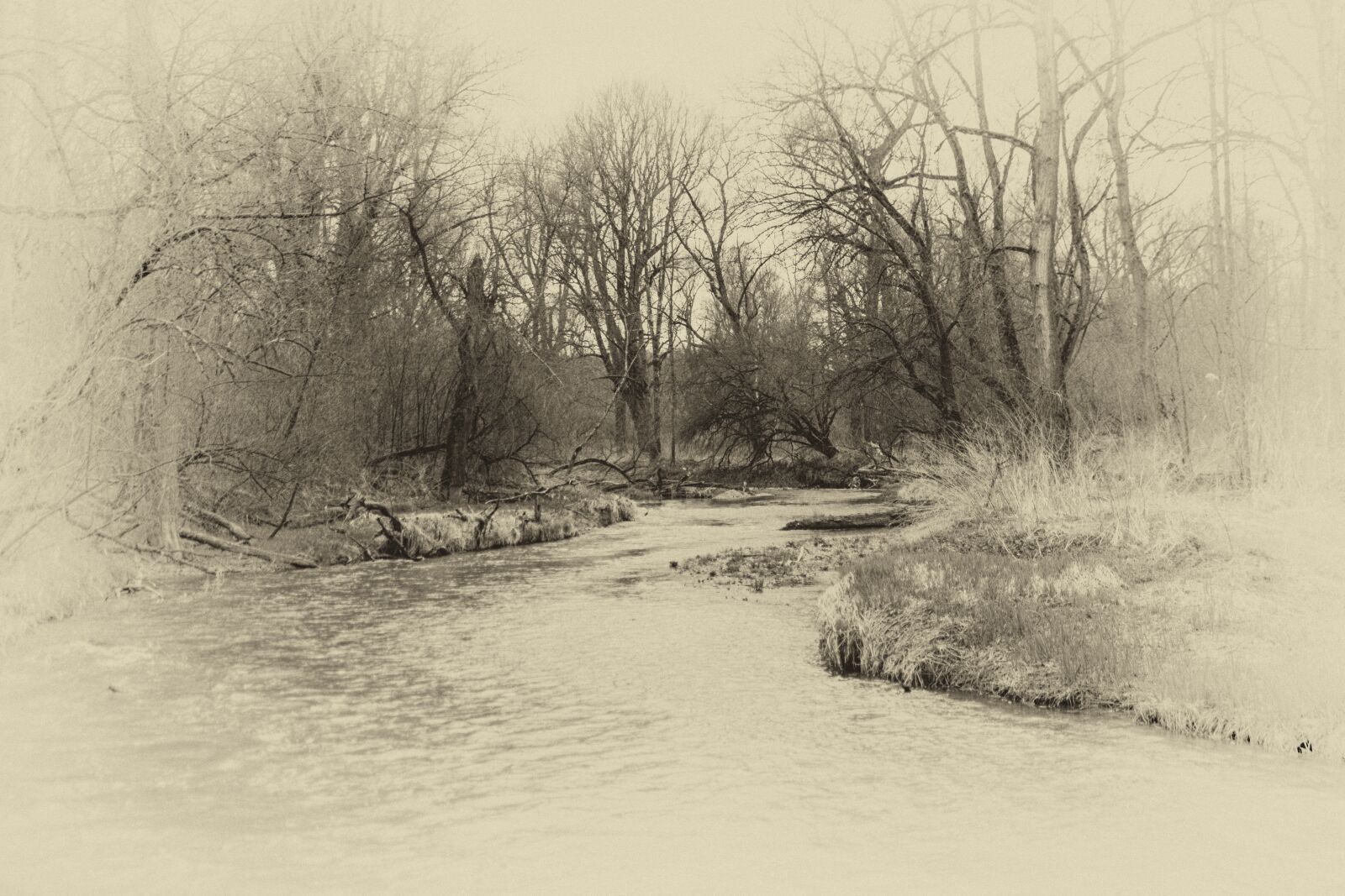 Nikon D5300 sample photo. Monochrome, fantasy, landscape photography
