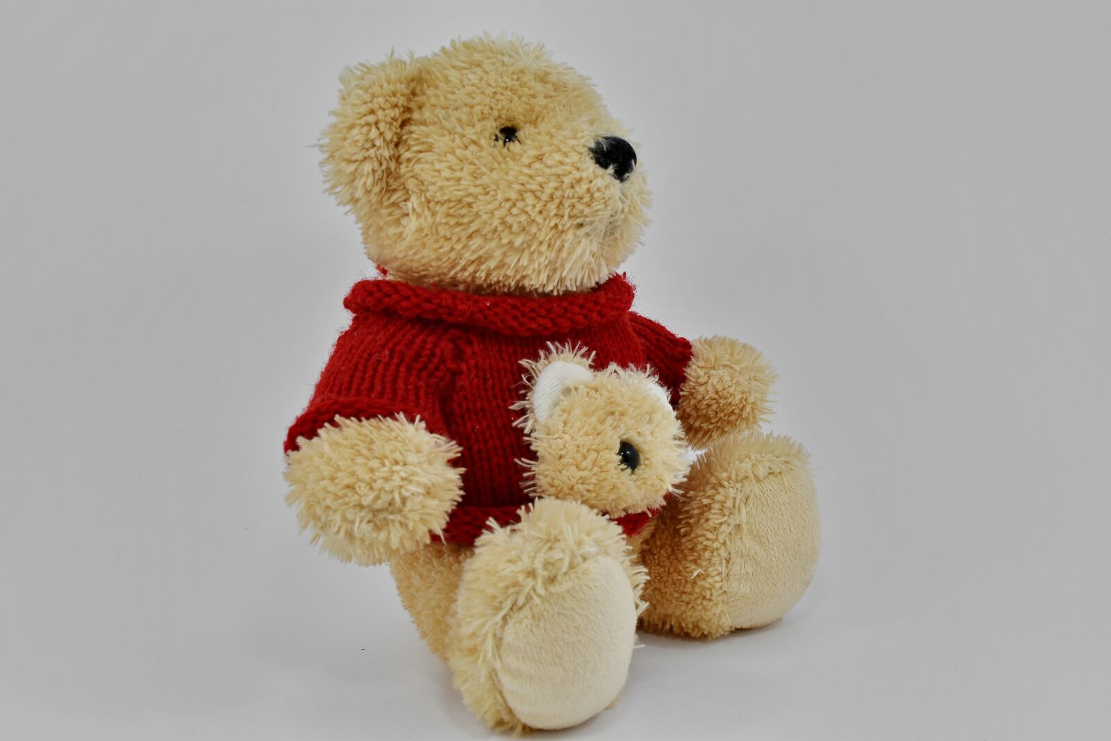 Nikon D5500 sample photo. Object, single, teddy bear photography