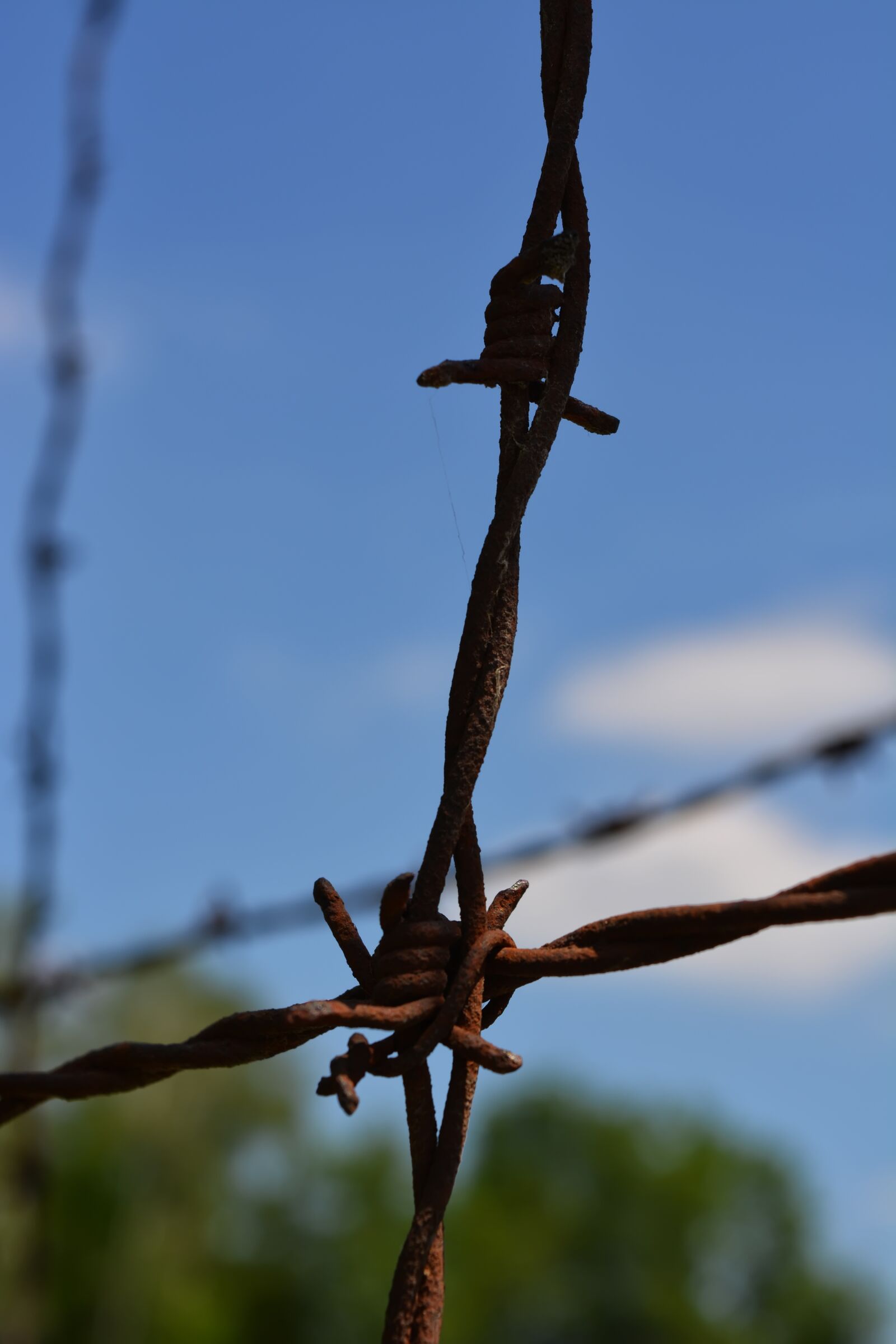 Nikon D5200 sample photo. Konzentrationslager, dachau, history photography