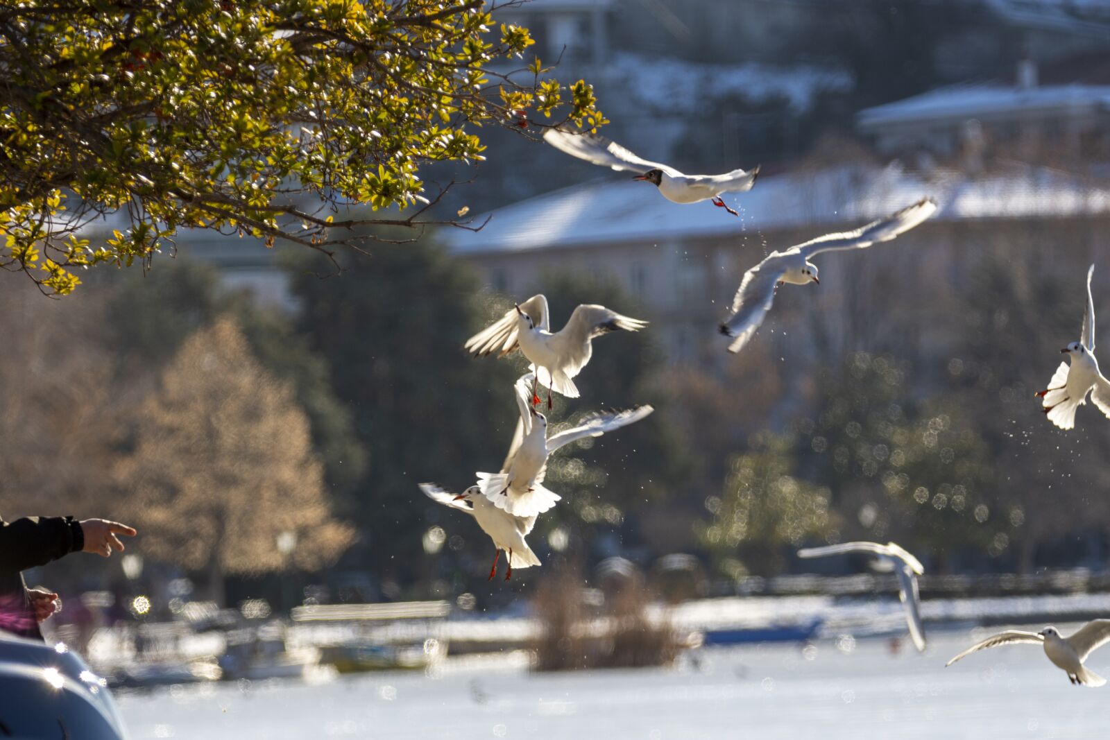 Nikon D7200 sample photo. Snow, winter, lake photography