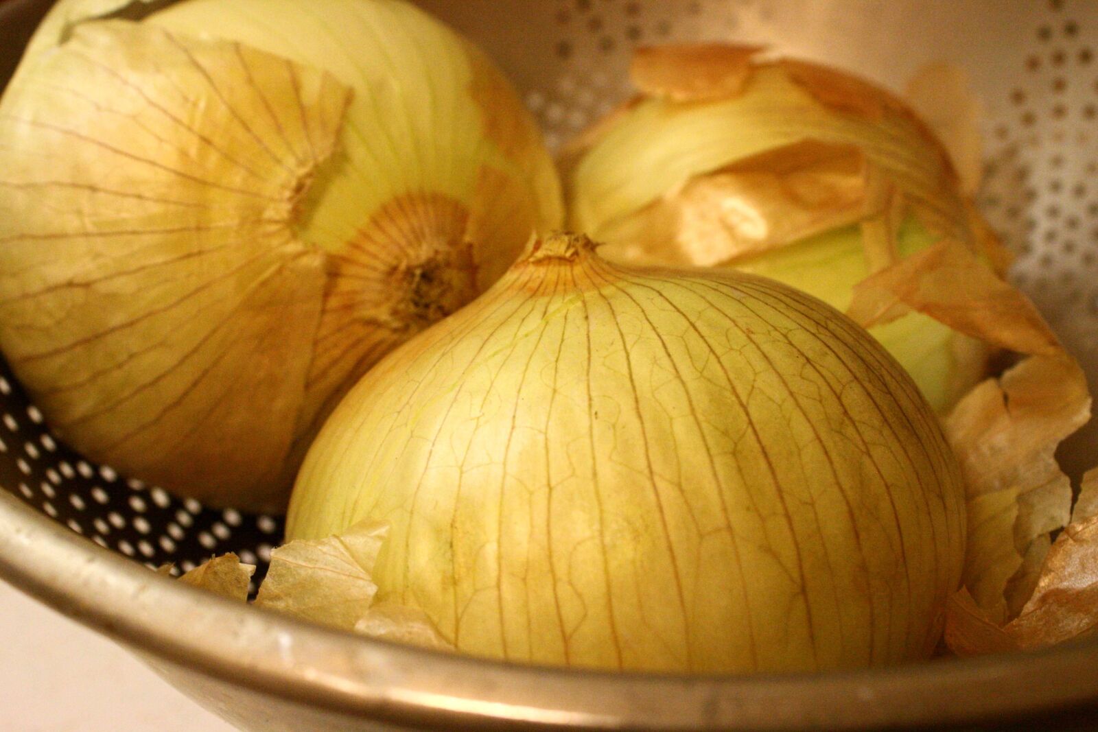 f/3.5-5.6 IS sample photo. Onions, bowl photography