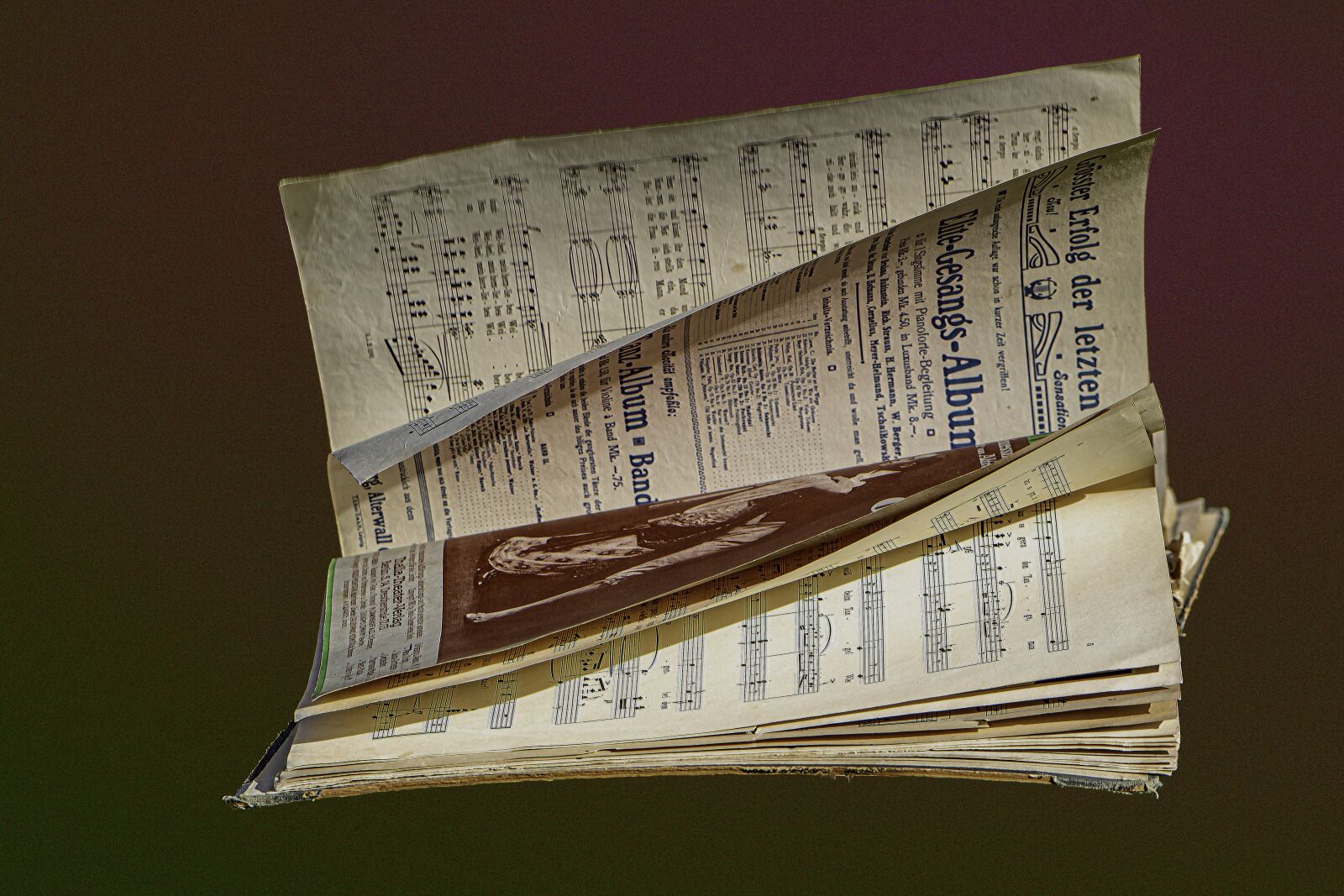 Nikon D5600 sample photo. Book day, music book photography