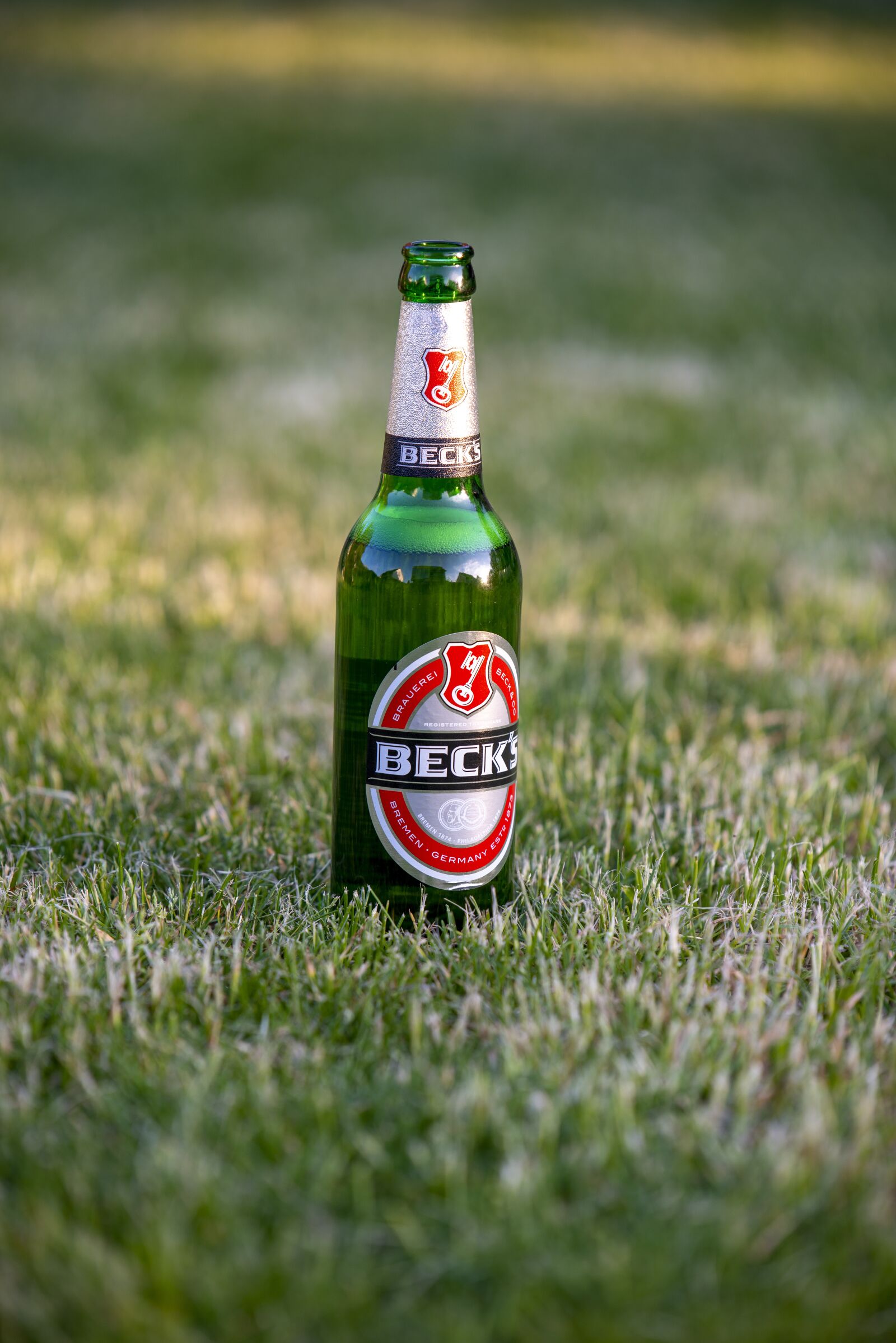 Nikon D800 sample photo. The beer, bottle, becks photography