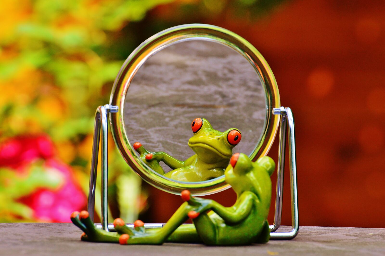 Nikon D3200 sample photo. Frog, mirror, mirror image photography
