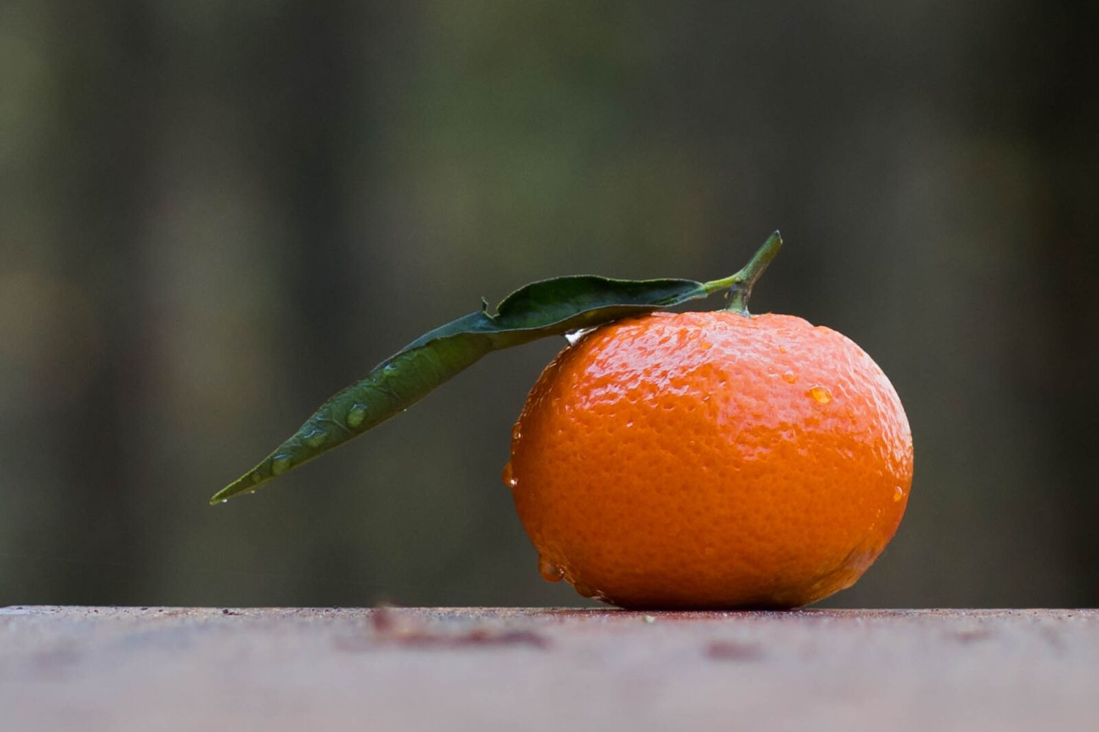 Nikon D7200 sample photo. Mandarin, fruit, clementines photography
