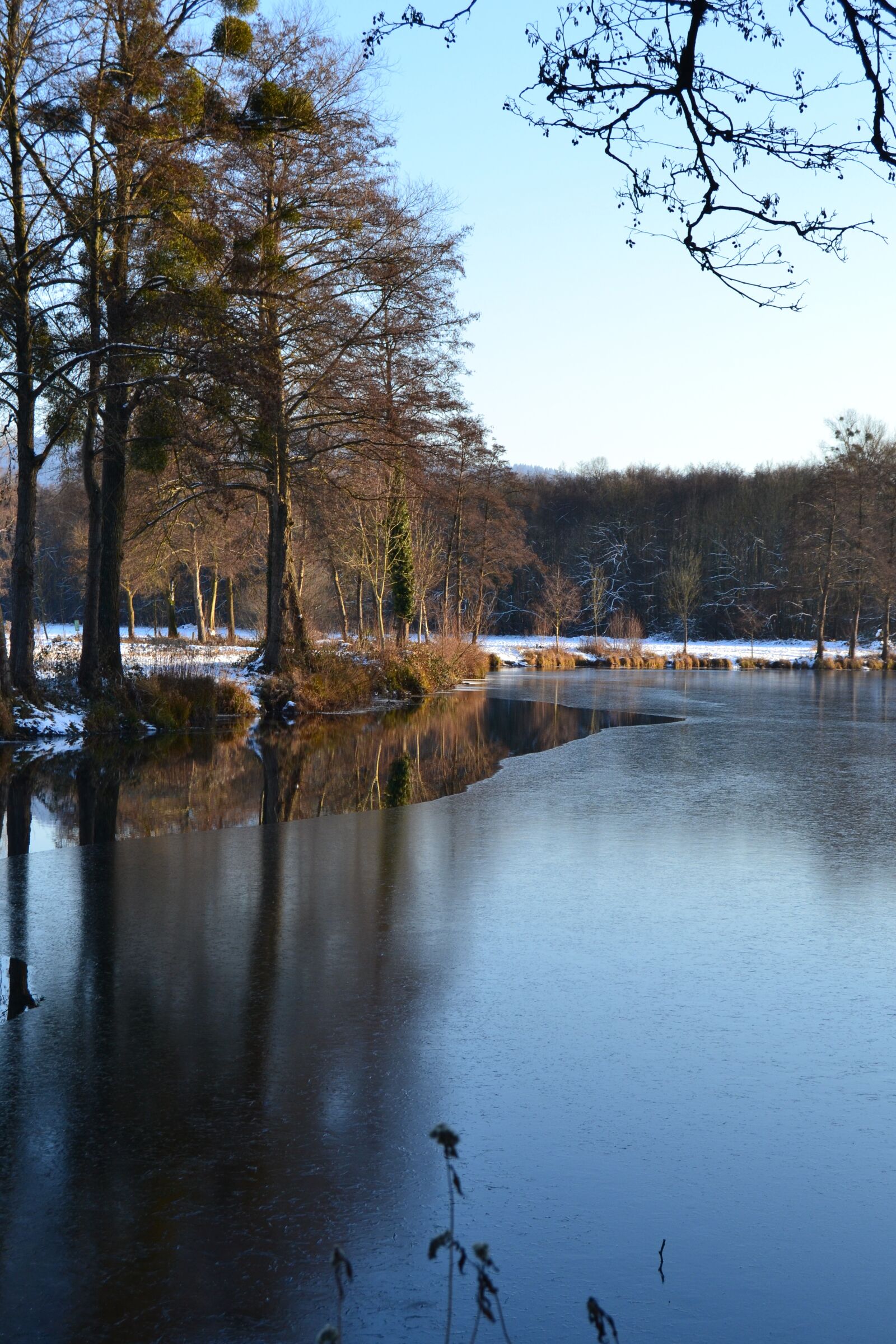Nikon D3100 sample photo. Black forest, winter, stretch photography