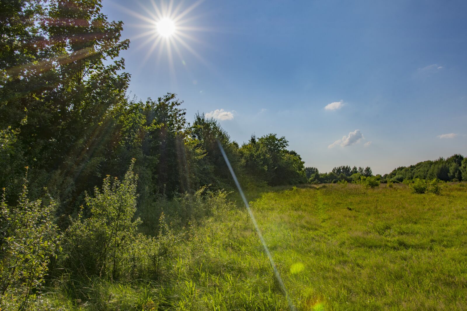 Nikon D7200 sample photo. Nature, sun, sunlight photography
