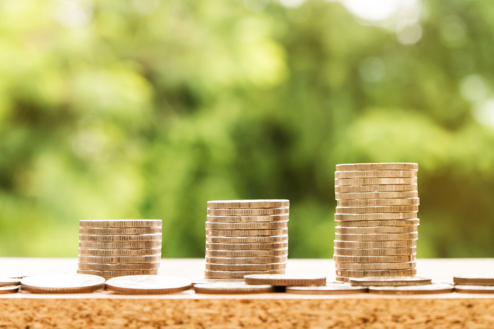 Nikon D610 sample photo. Money, finance, business photography