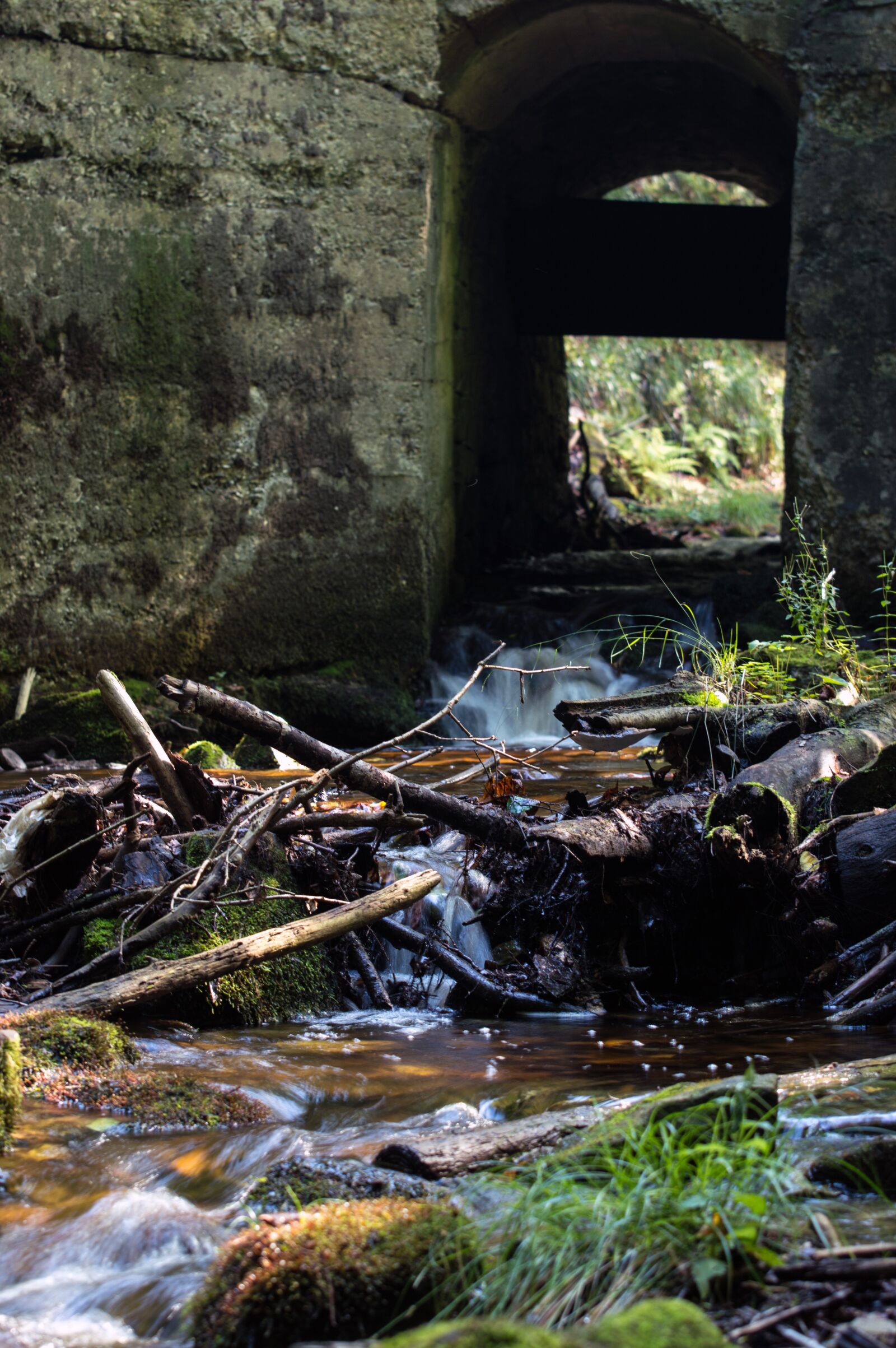 Nikon D3200 sample photo. Bach, water, fluent photography