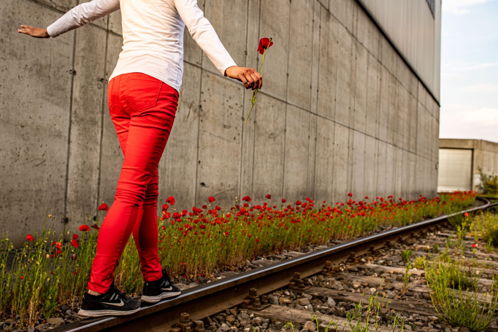 Sigma 35mm F1.4 DG HSM Art sample photo. Poppy, balance, rails photography