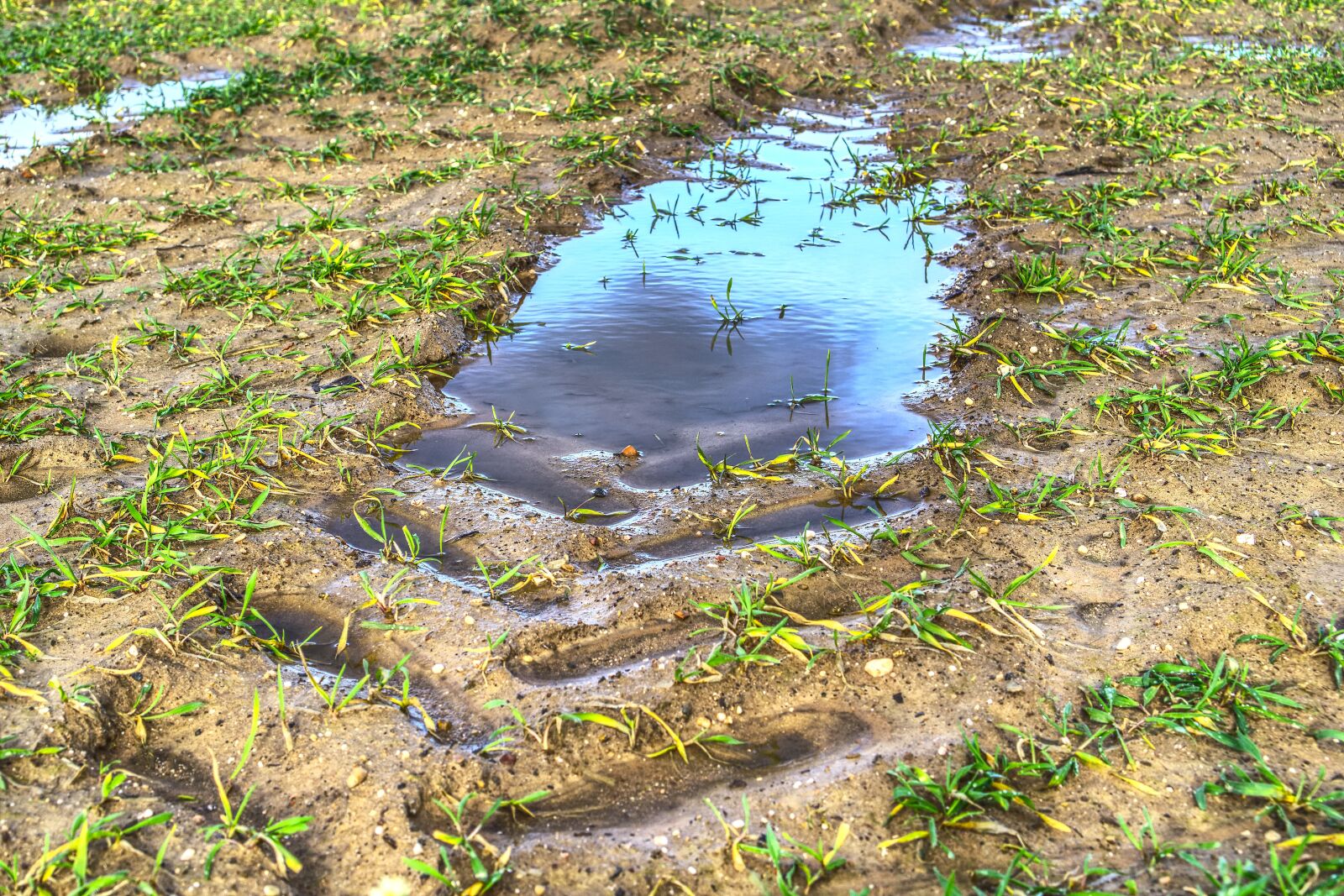 Sony a6000 + Sony E 35mm F1.8 OSS sample photo. Puddle, mud, water photography