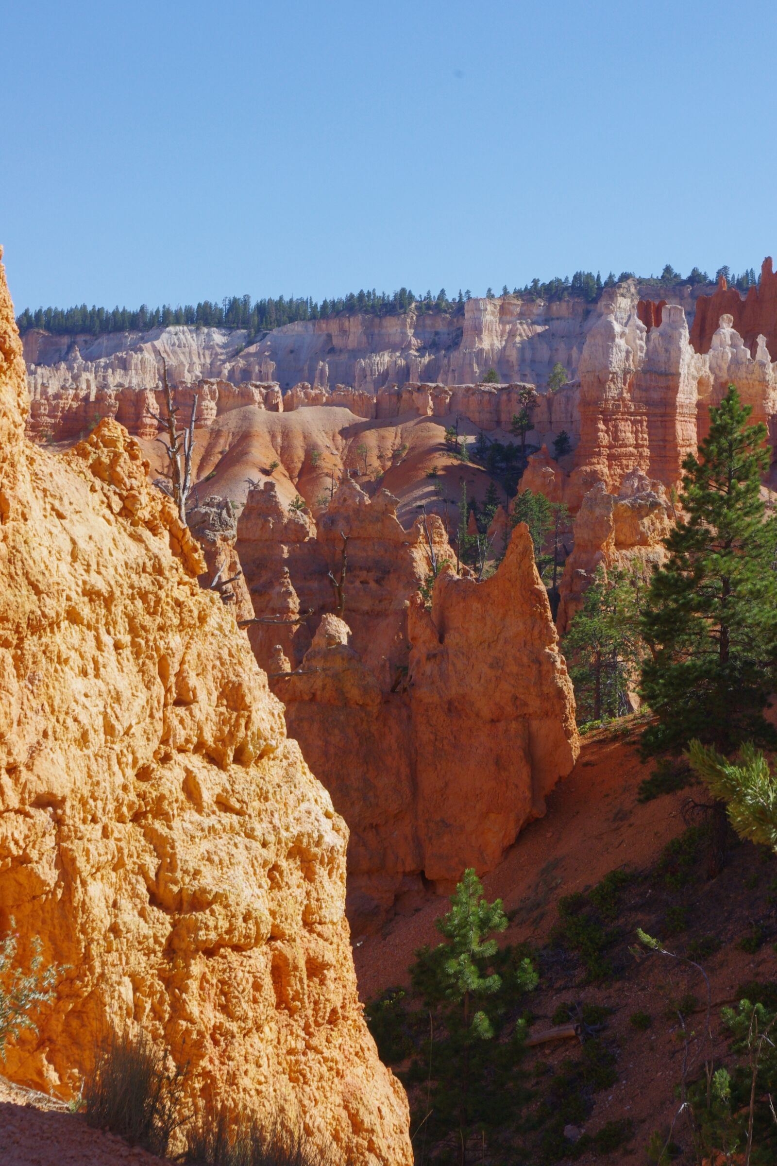 Pentax K-x sample photo. Bryce, canyon, rock photography