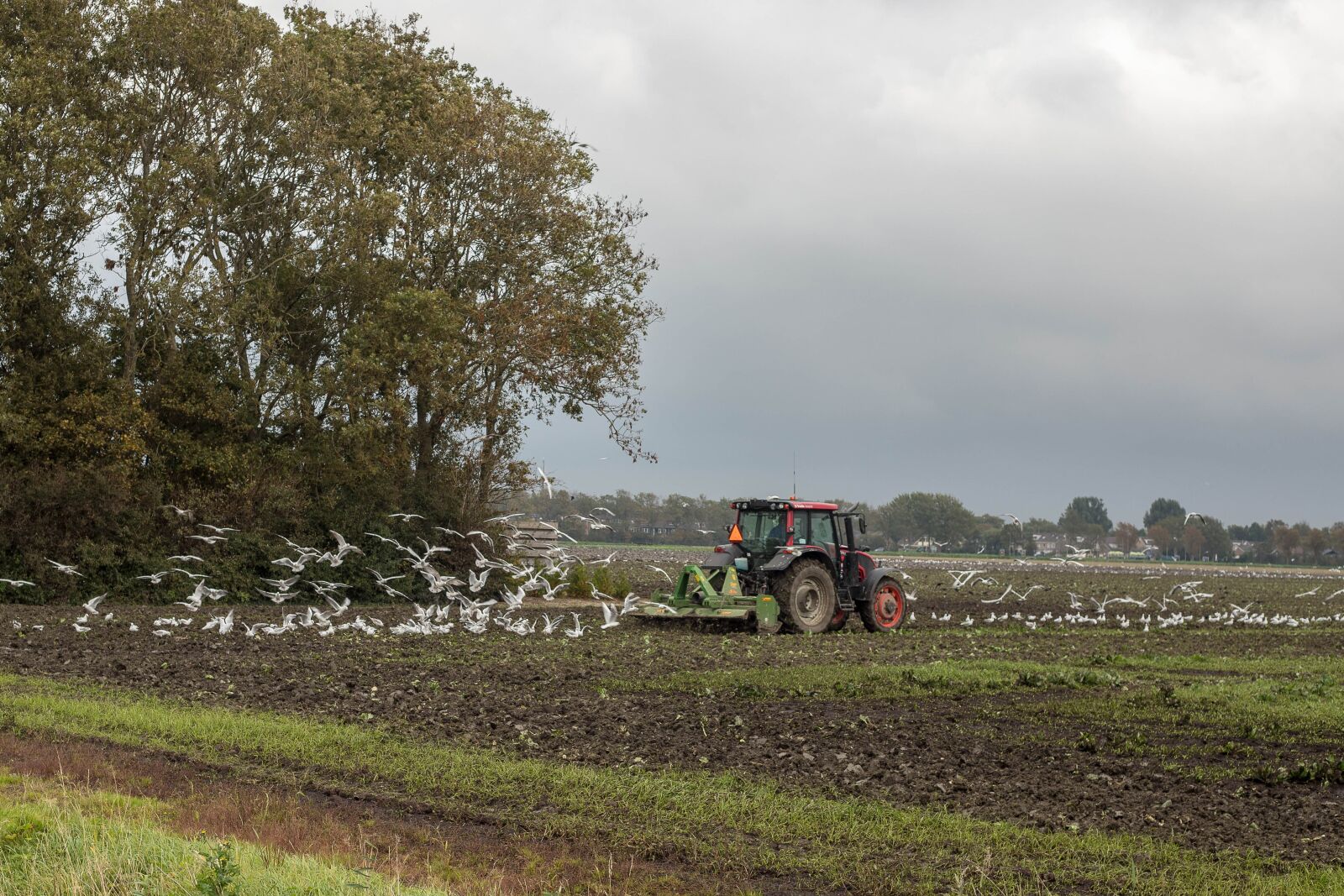 Canon EOS 6D Mark II sample photo. Agriculture, arable farming, tractor photography
