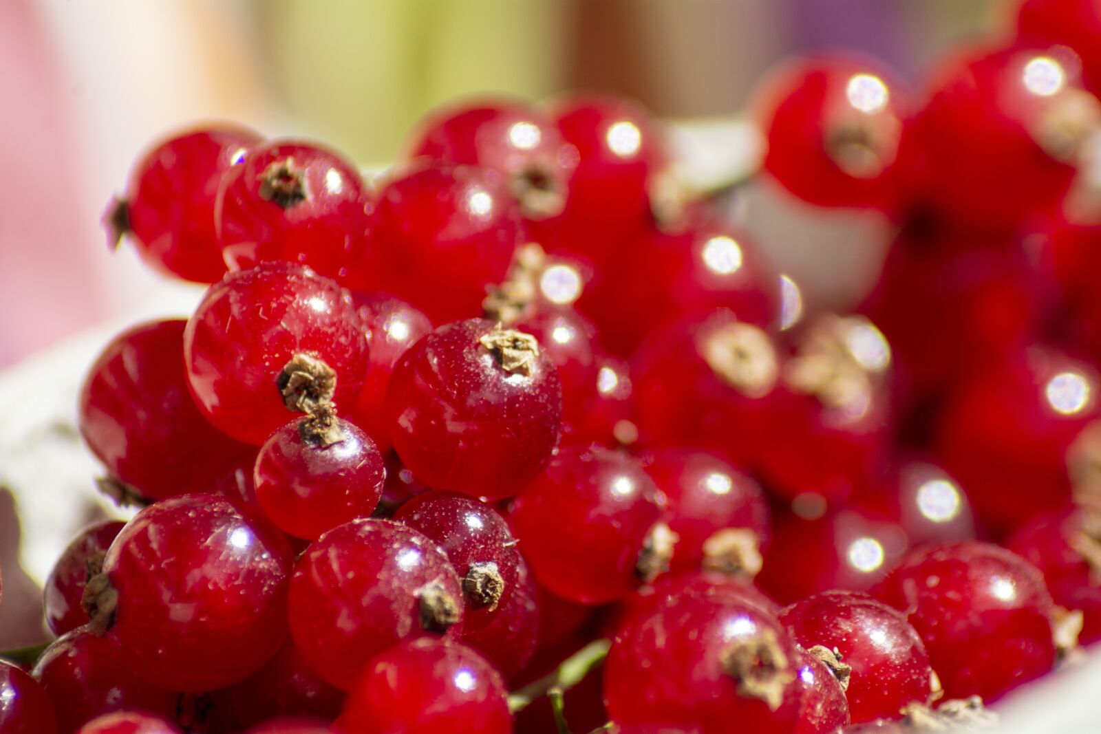 Nikon D7100 sample photo. Currant, berry, currants photography