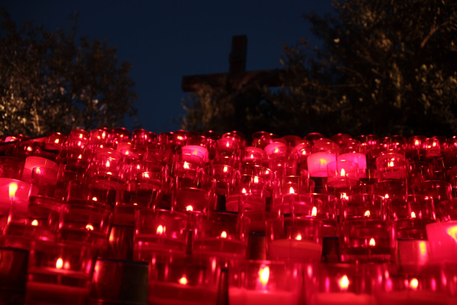 Canon EOS 60D sample photo. Nature, catholic, color photography