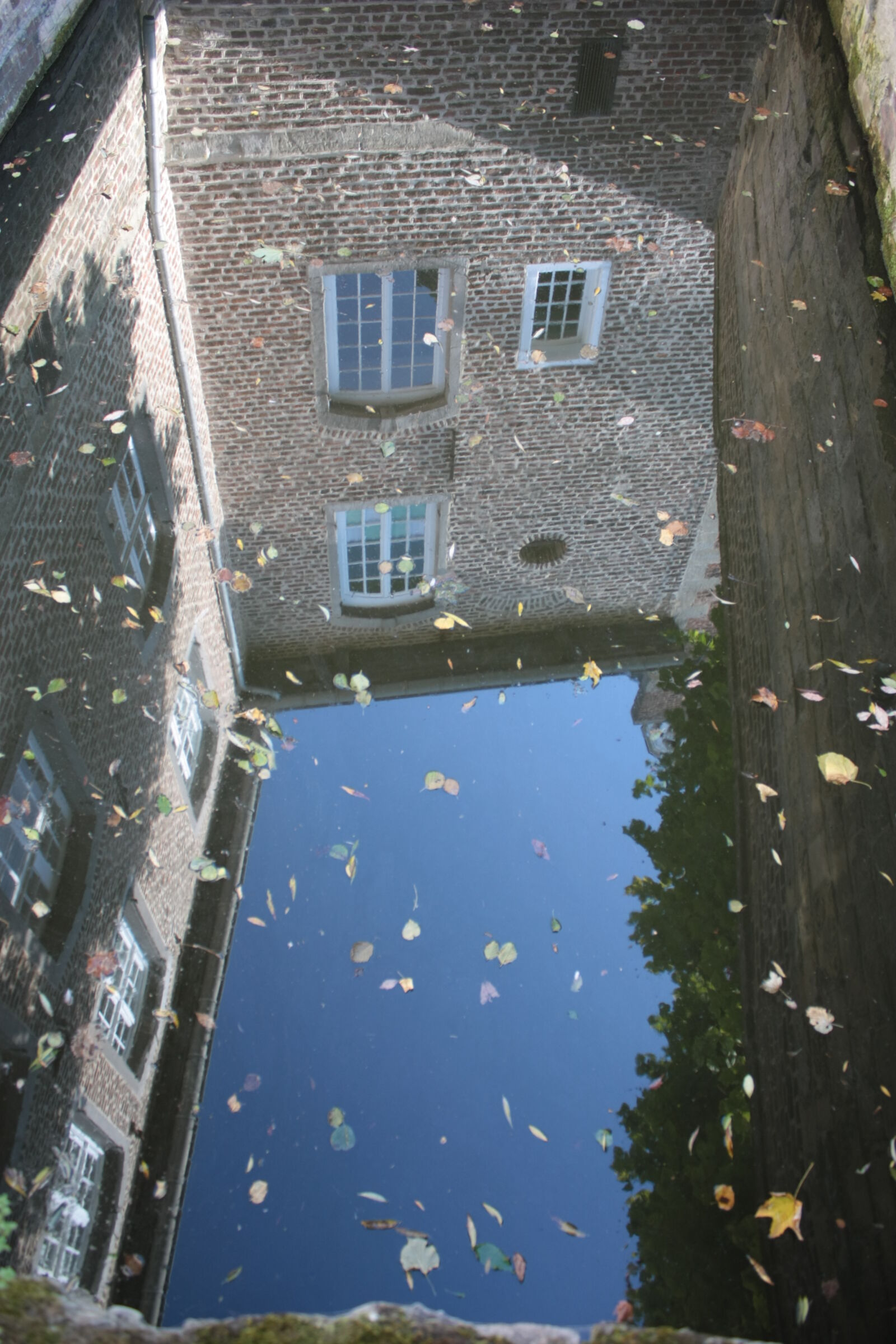 Canon EOS 450D (EOS Rebel XSi / EOS Kiss X2) sample photo. Architecture, leafs, reflex, water photography