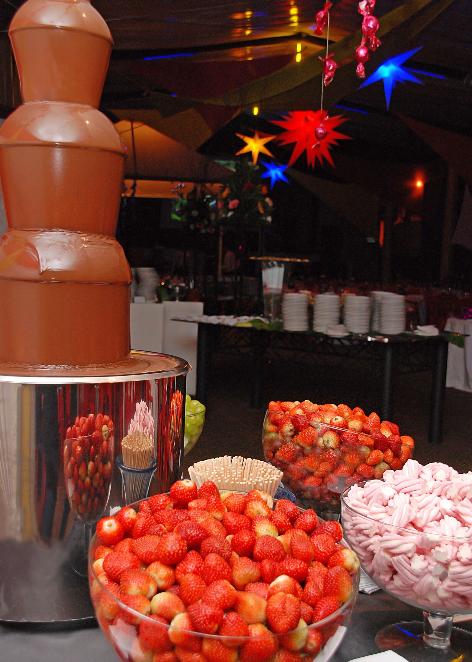 Nikon D80 sample photo. Cascade, chocolate, party photography