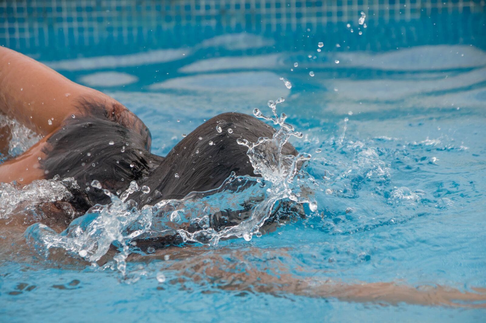 Pentax KP sample photo. Swimming pool, swimming, swimmer photography