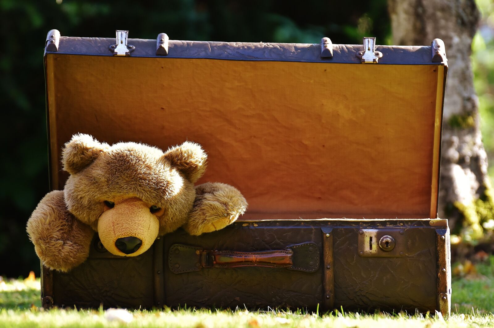 Nikon D7200 sample photo. Luggage, antique, teddy photography