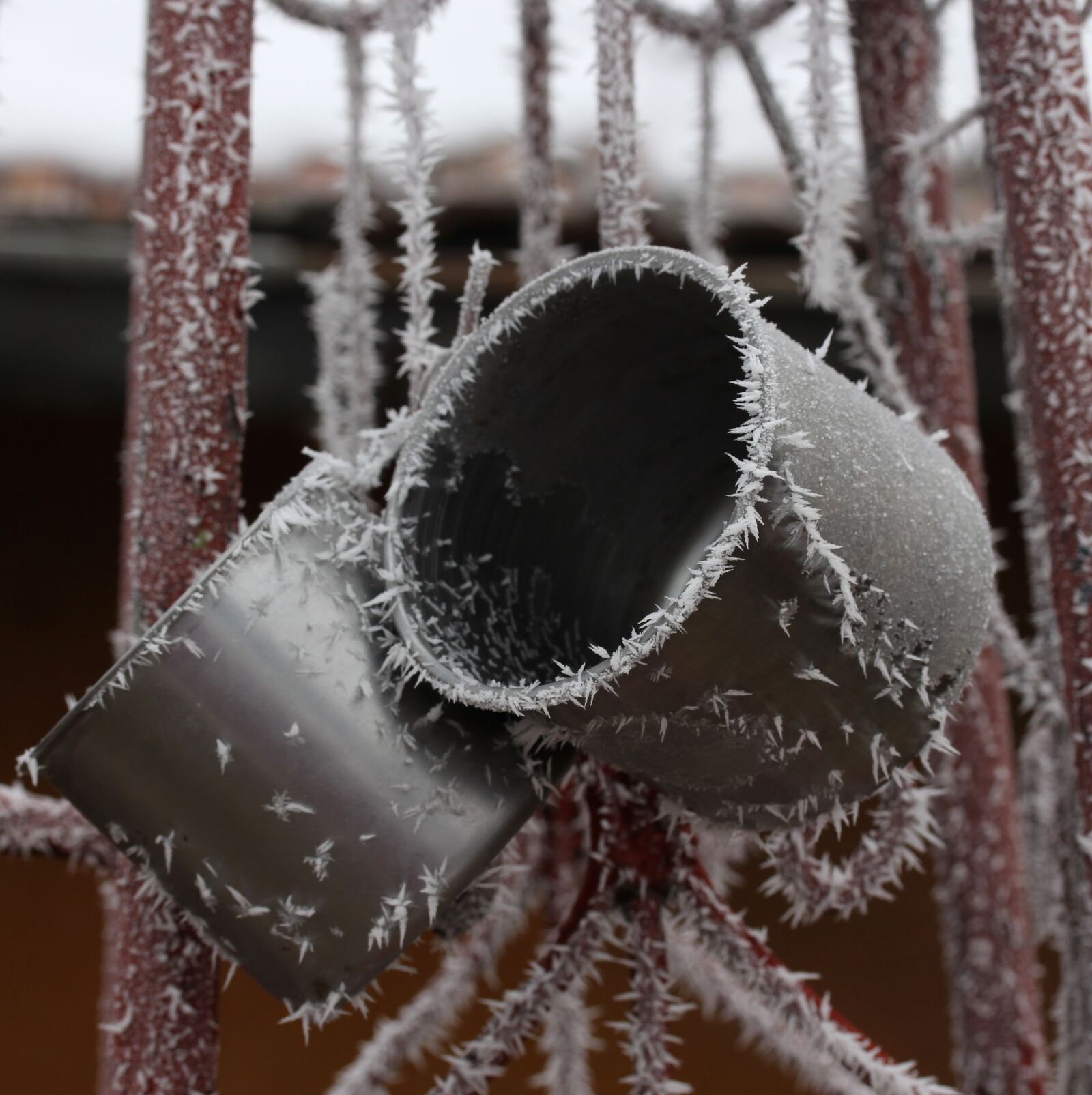 Canon EF-S 60mm F2.8 Macro USM sample photo. Cana, metal, rime photography