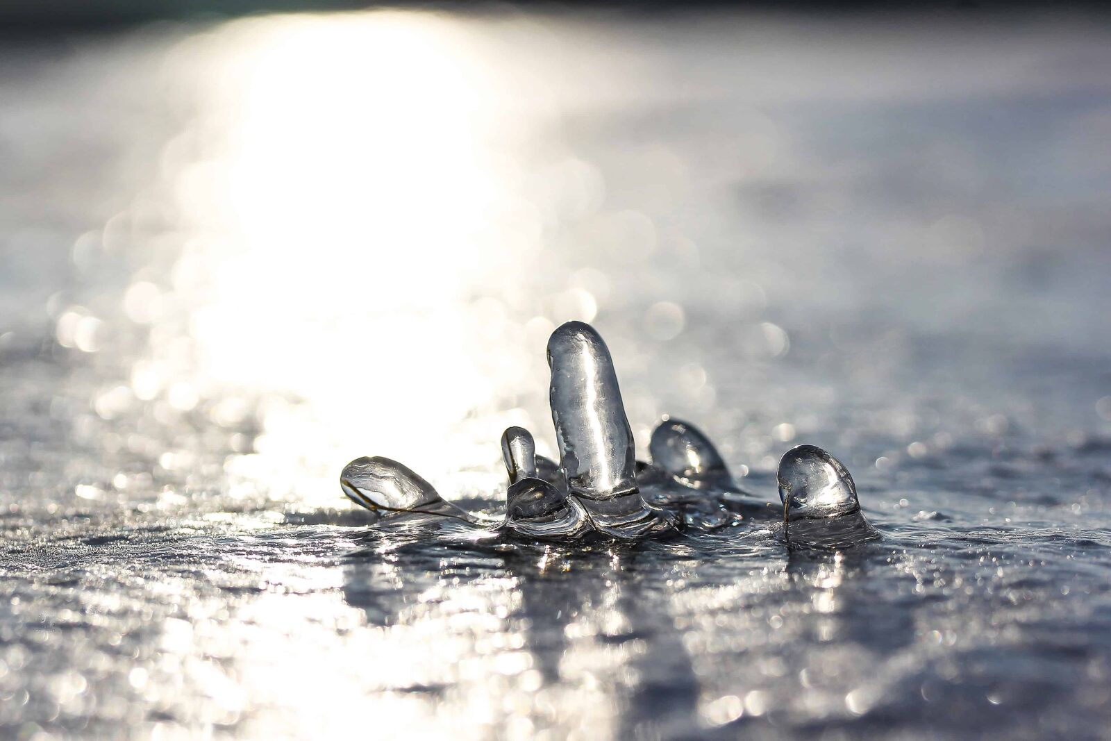 Canon EOS 1100D (EOS Rebel T3 / EOS Kiss X50) sample photo. Rain, reflection, wet, nature photography
