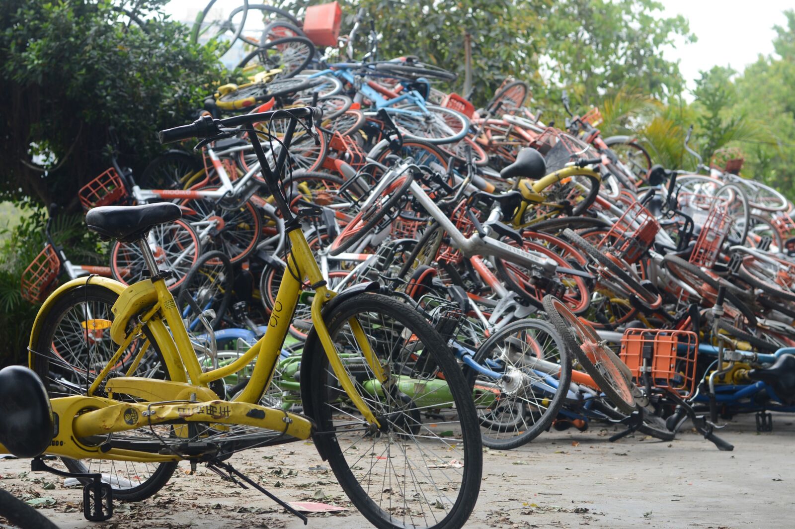 Nikon D3200 sample photo. Canton, bicycle, waste photography