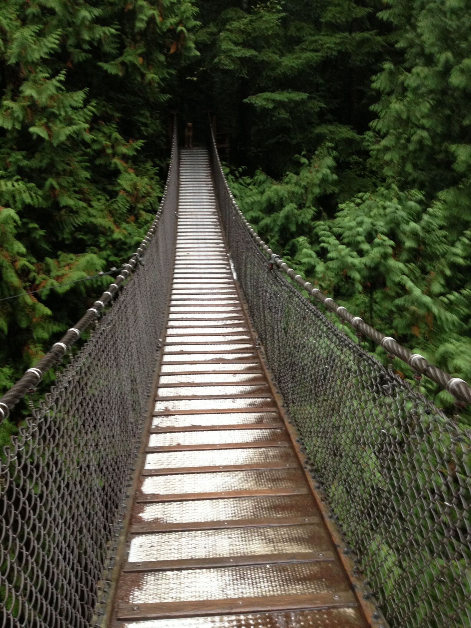 Apple iPhone 4S sample photo. Pathway, shadow, suspension, bridge photography