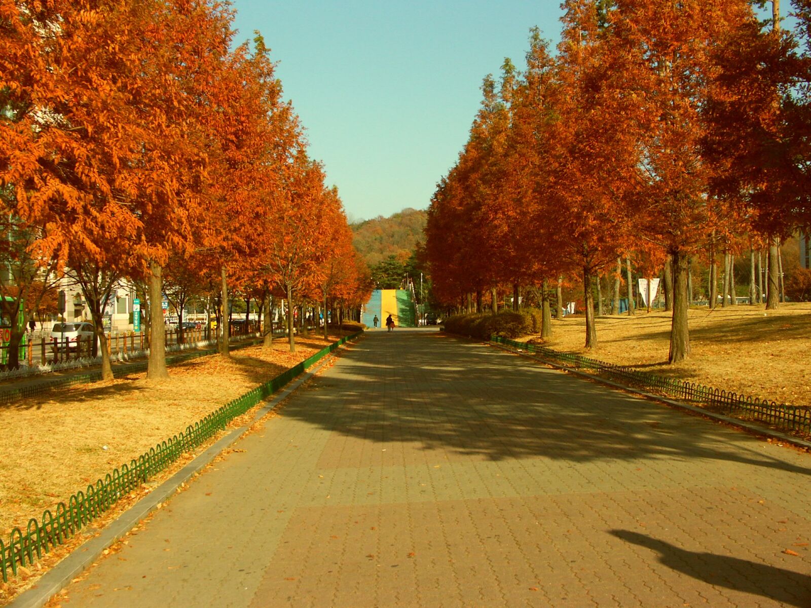KONICA MINOLTA DiMAGE A1 sample photo. Autumn, park, wood photography