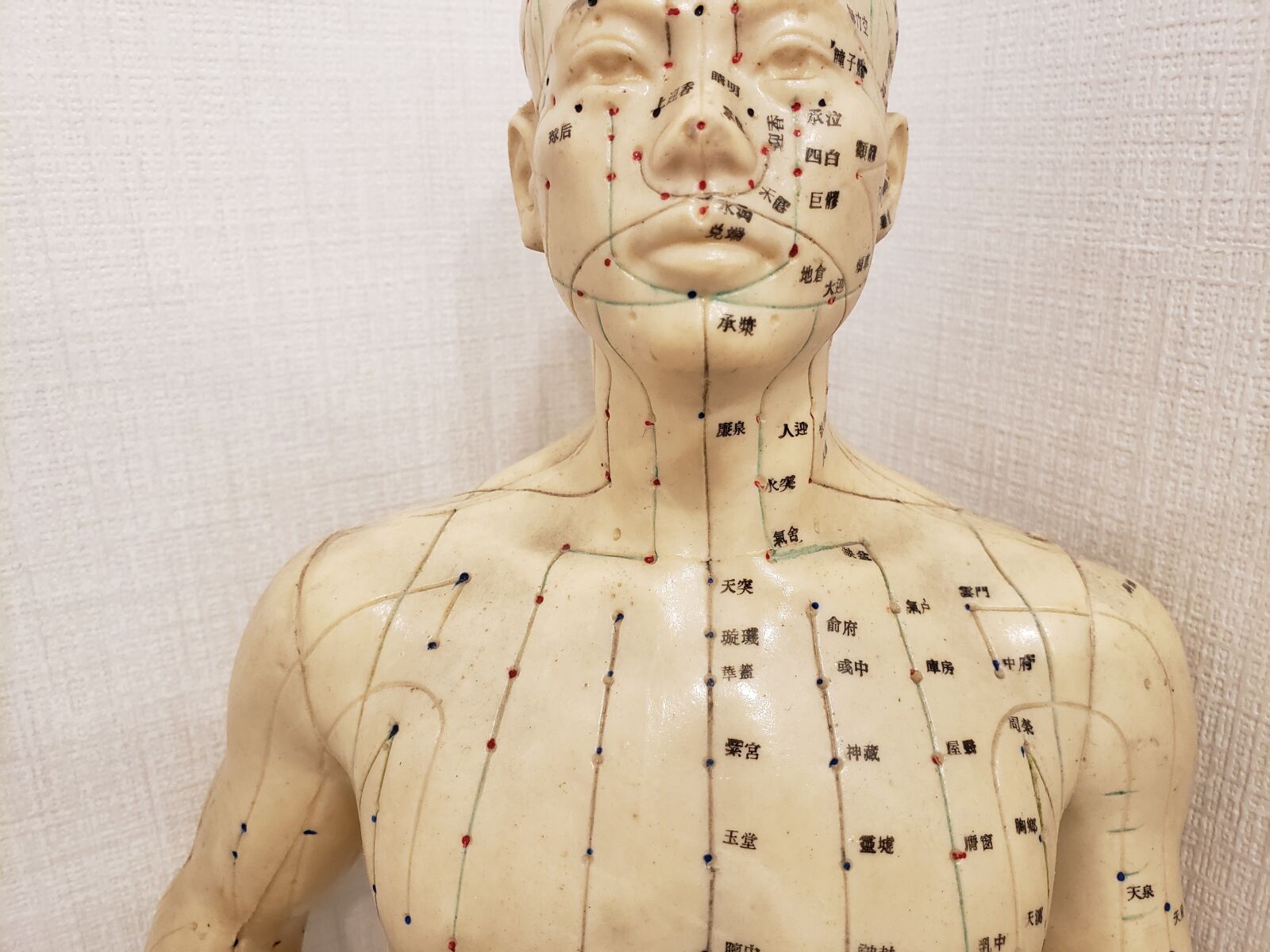 Samsung Galaxy S9 sample photo. Body, acupuncture, needle photography