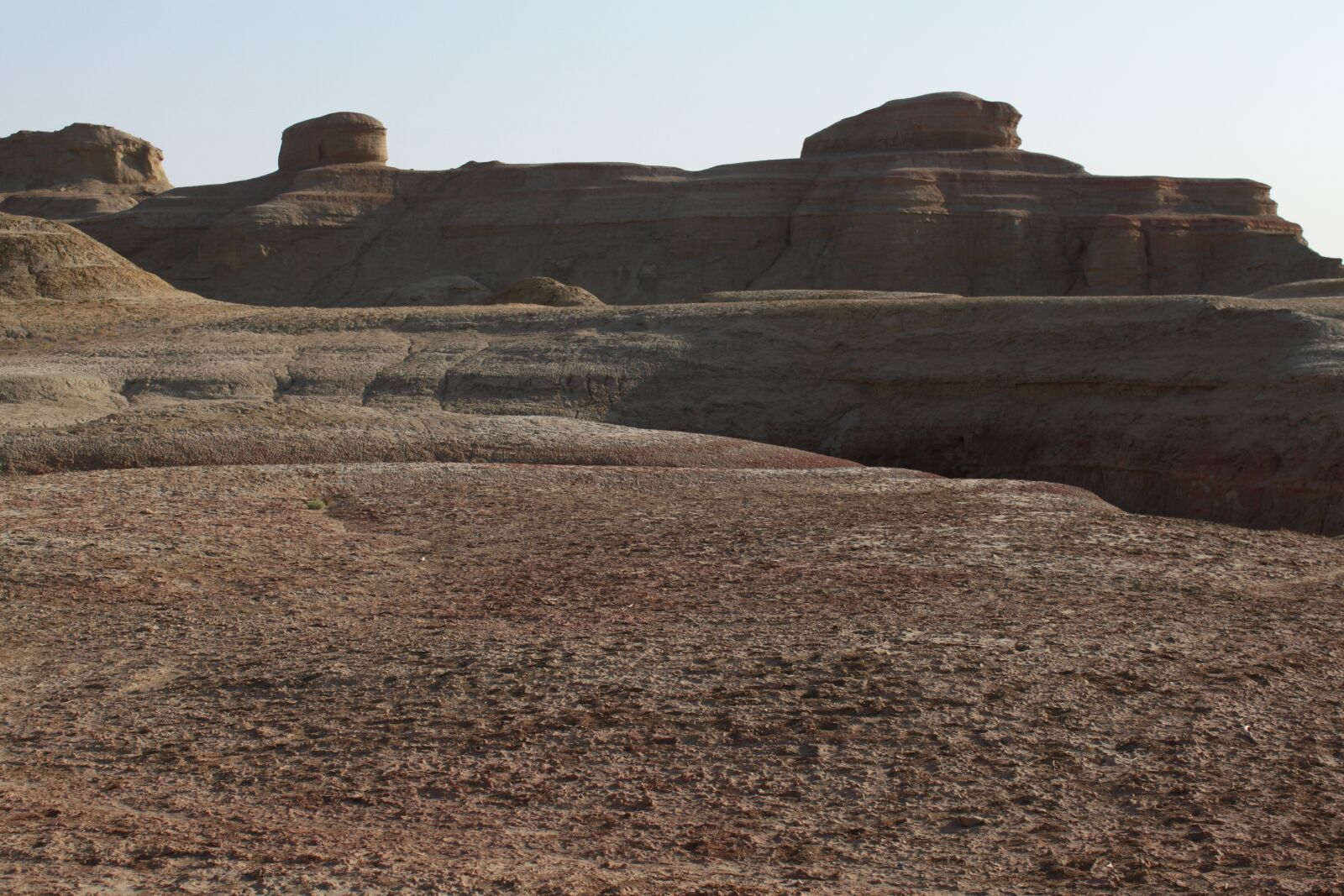 Canon EOS 500D (EOS Rebel T1i / EOS Kiss X3) sample photo. Desert, drought, desolate photography