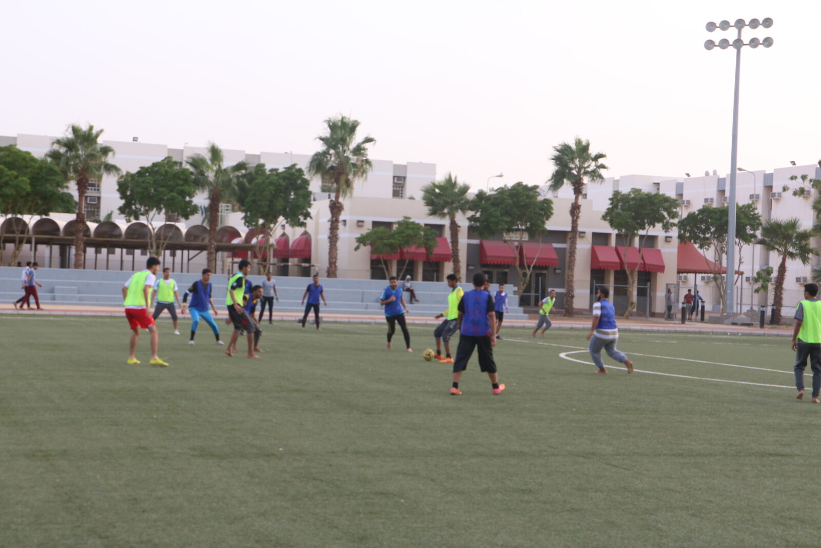 Canon EOS 70D sample photo