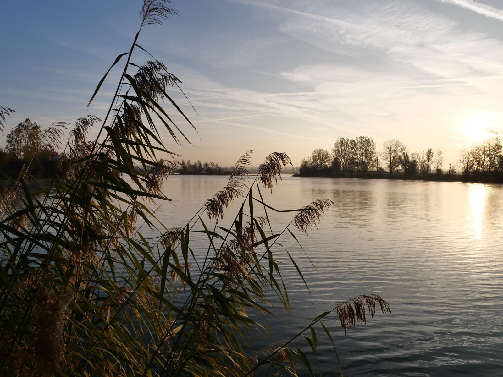 Panasonic Lumix DC-G9 sample photo. Lake, water, morning photography