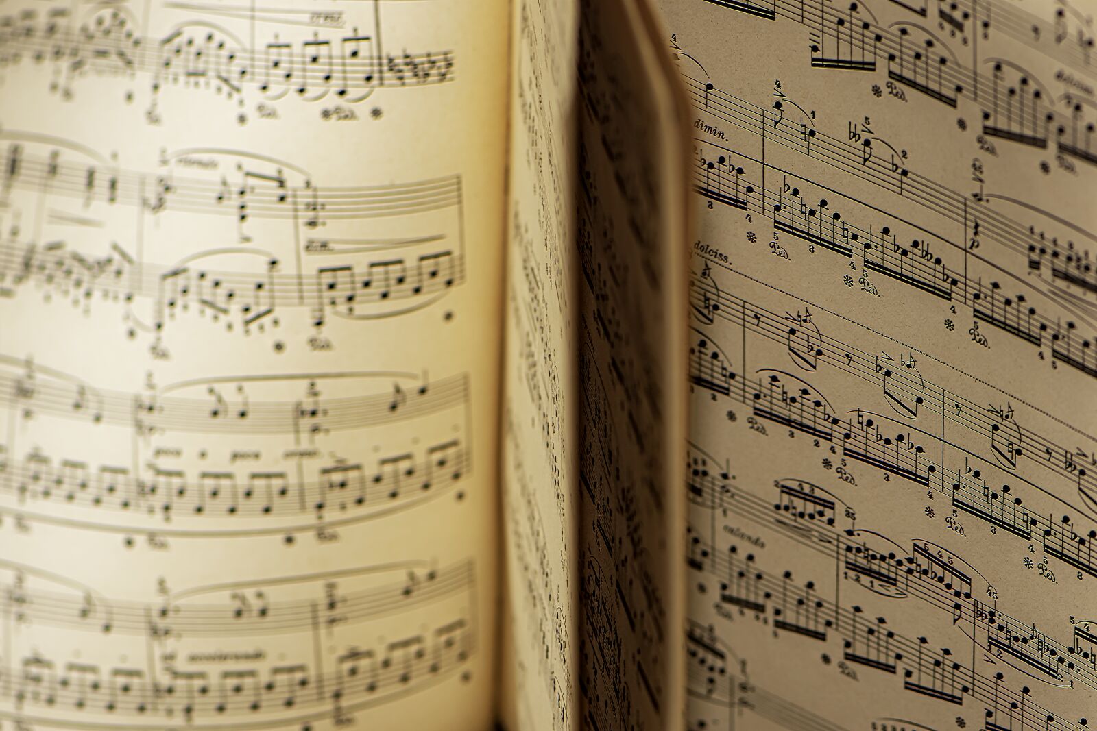 Nikon D5600 sample photo. Music, sheet music, recital photography