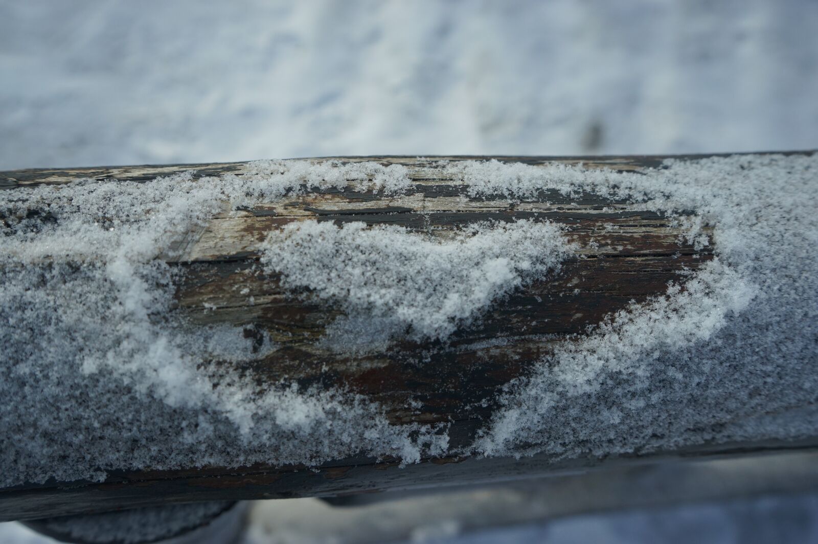 Sony a7 + Sony FE 28-70mm F3.5-5.6 OSS sample photo. Winter, snow, nature photography
